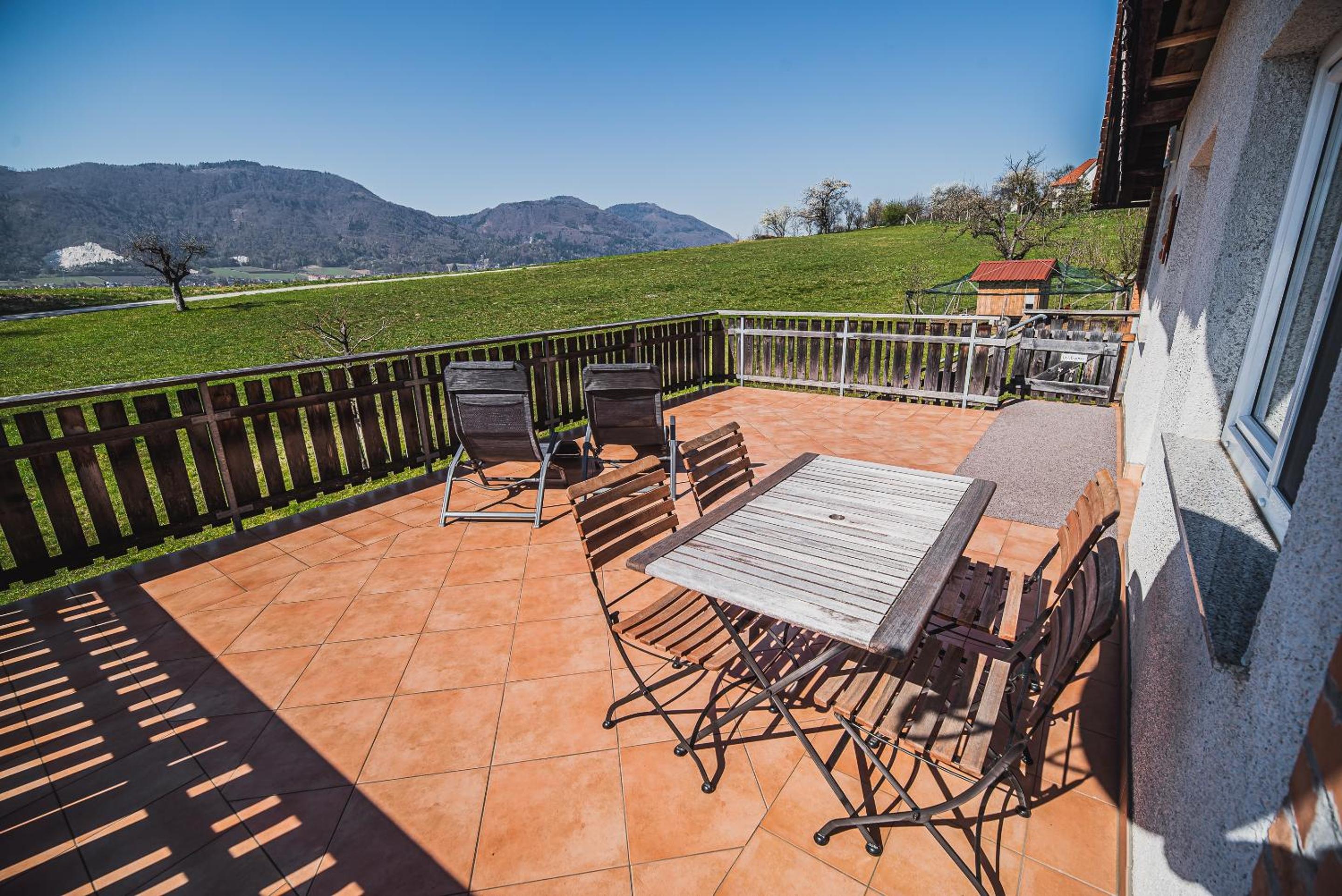 Apartment pri Povhih
