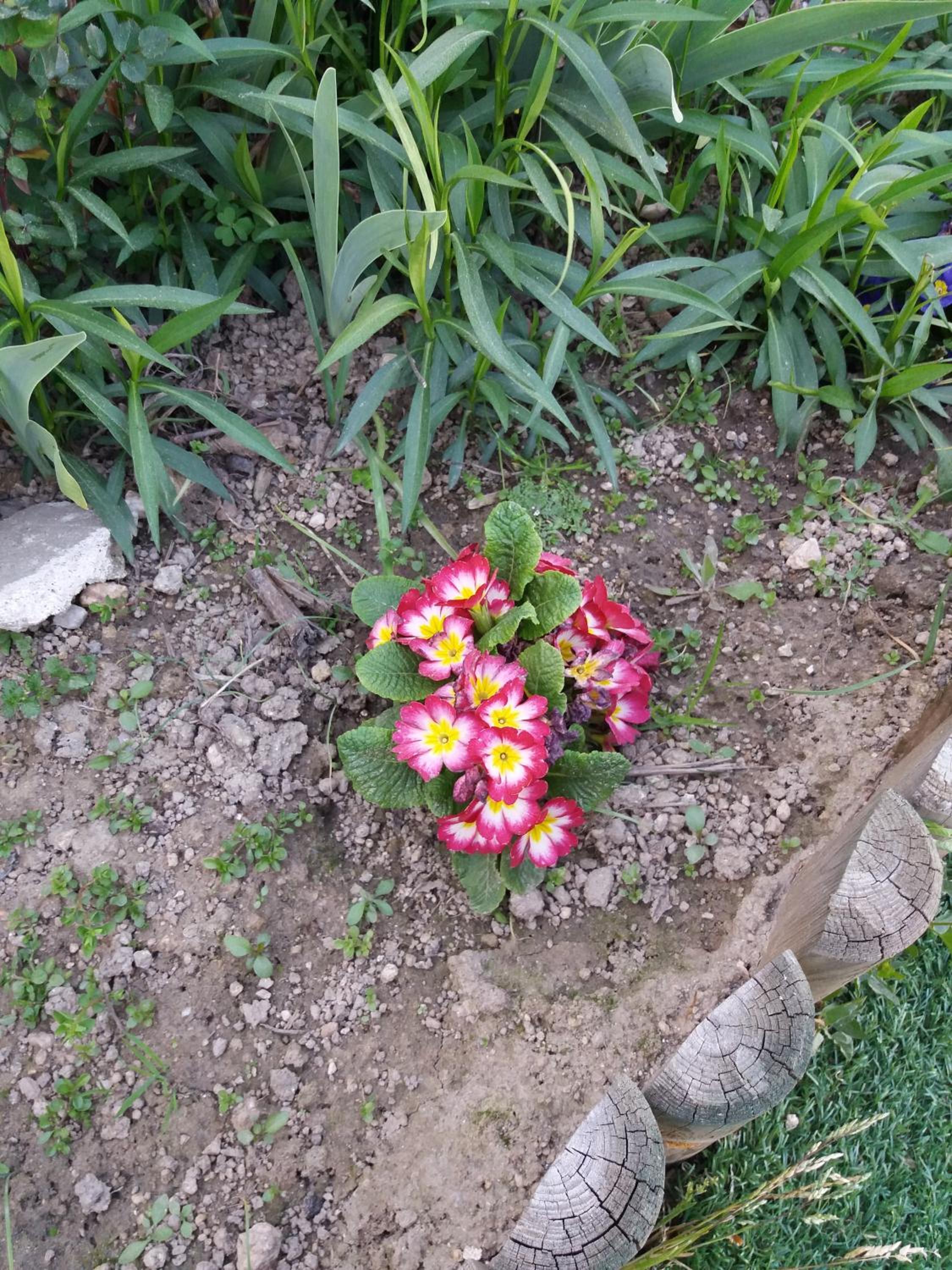 Photo 29