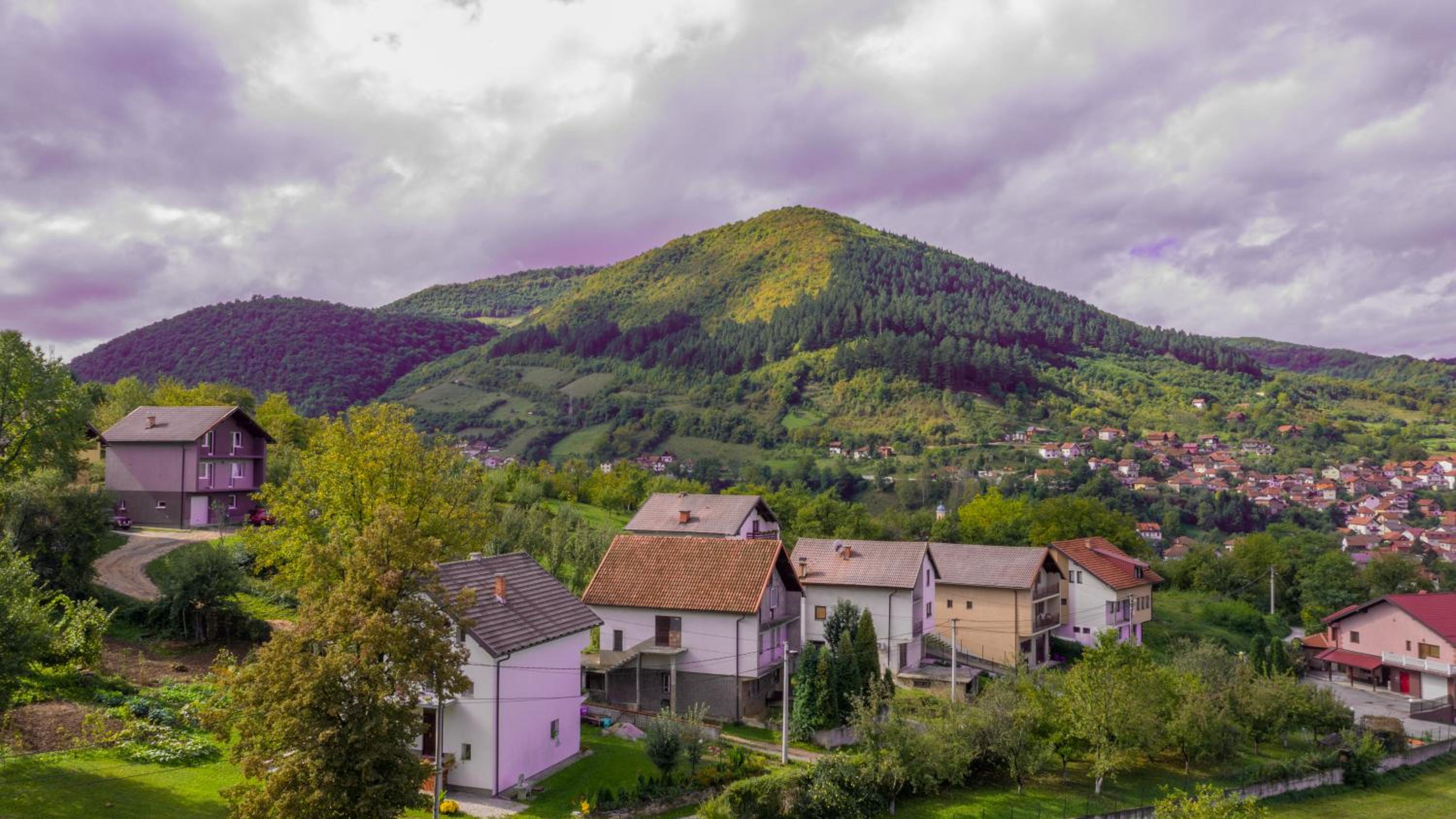 The View Apartment