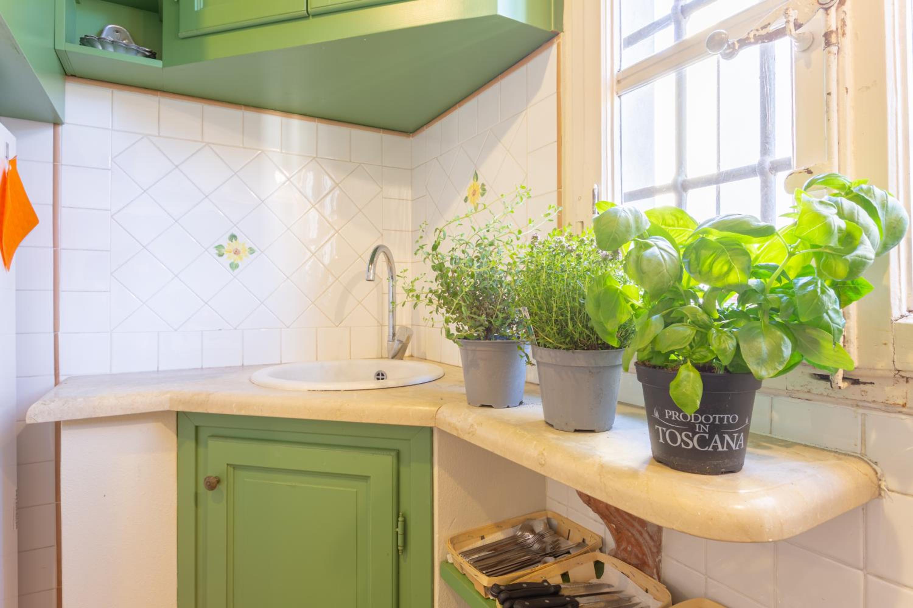 Aromatic Green House