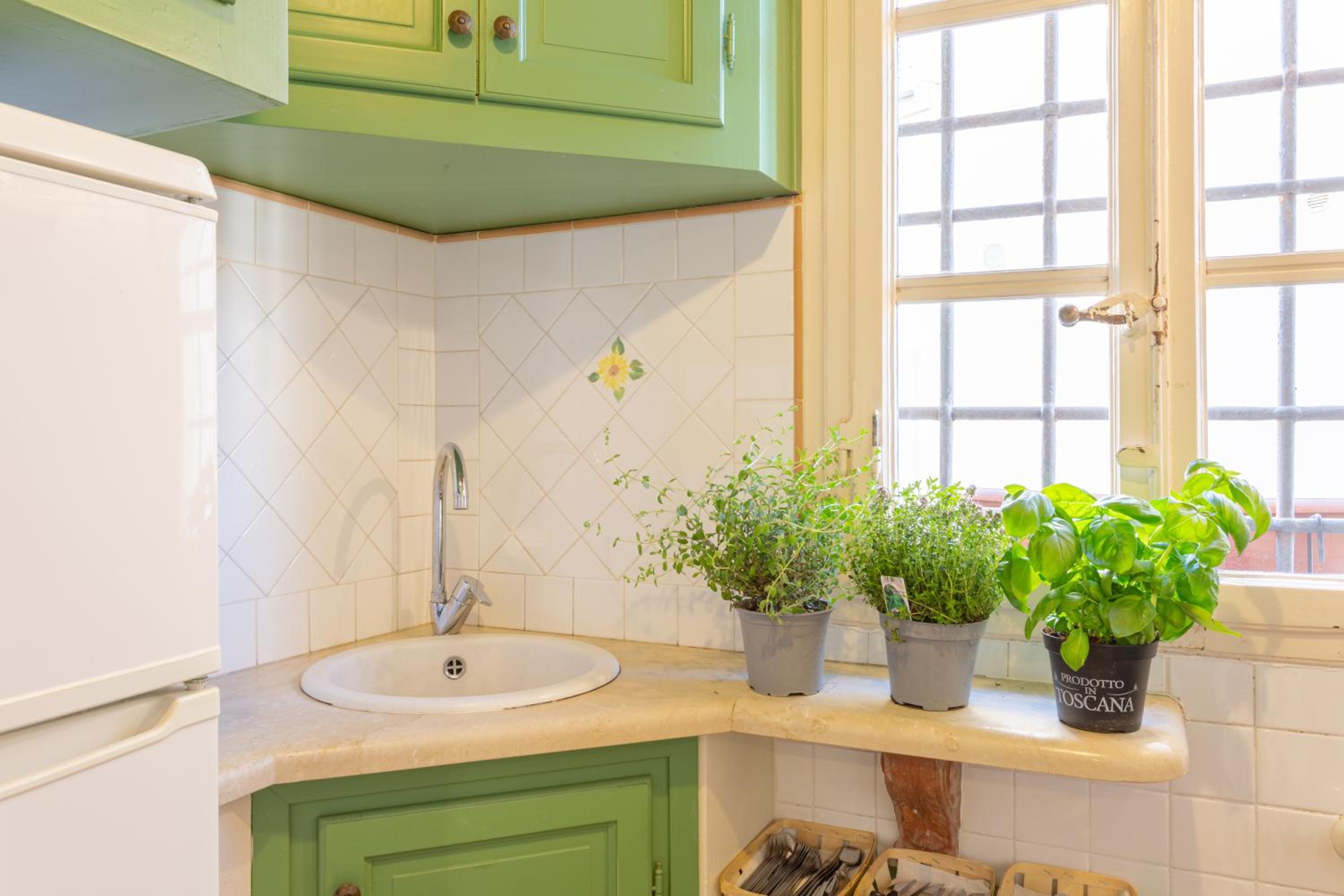 Aromatic Green House