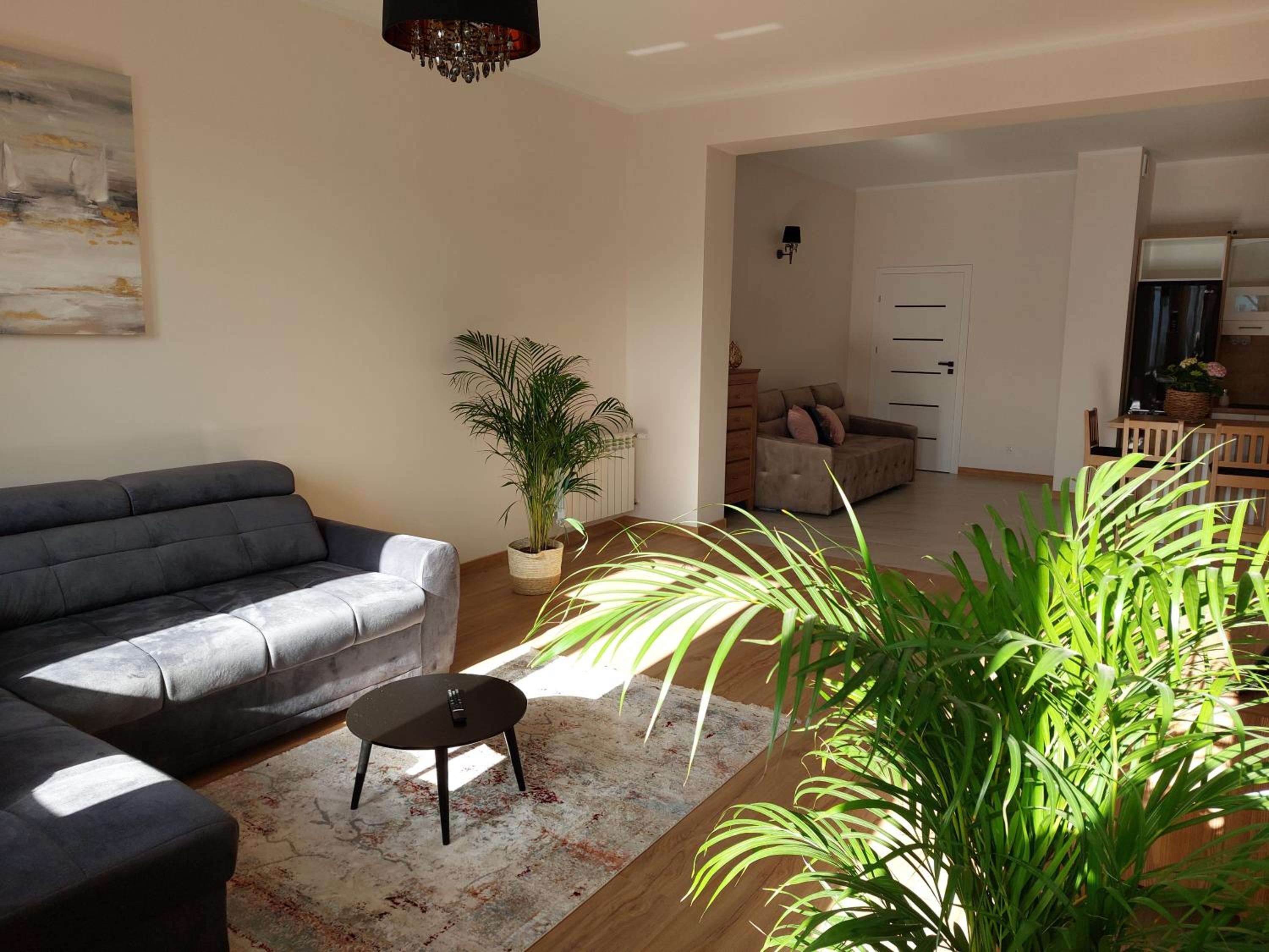 Apartament przy Jeziorku Magistrackim view 4