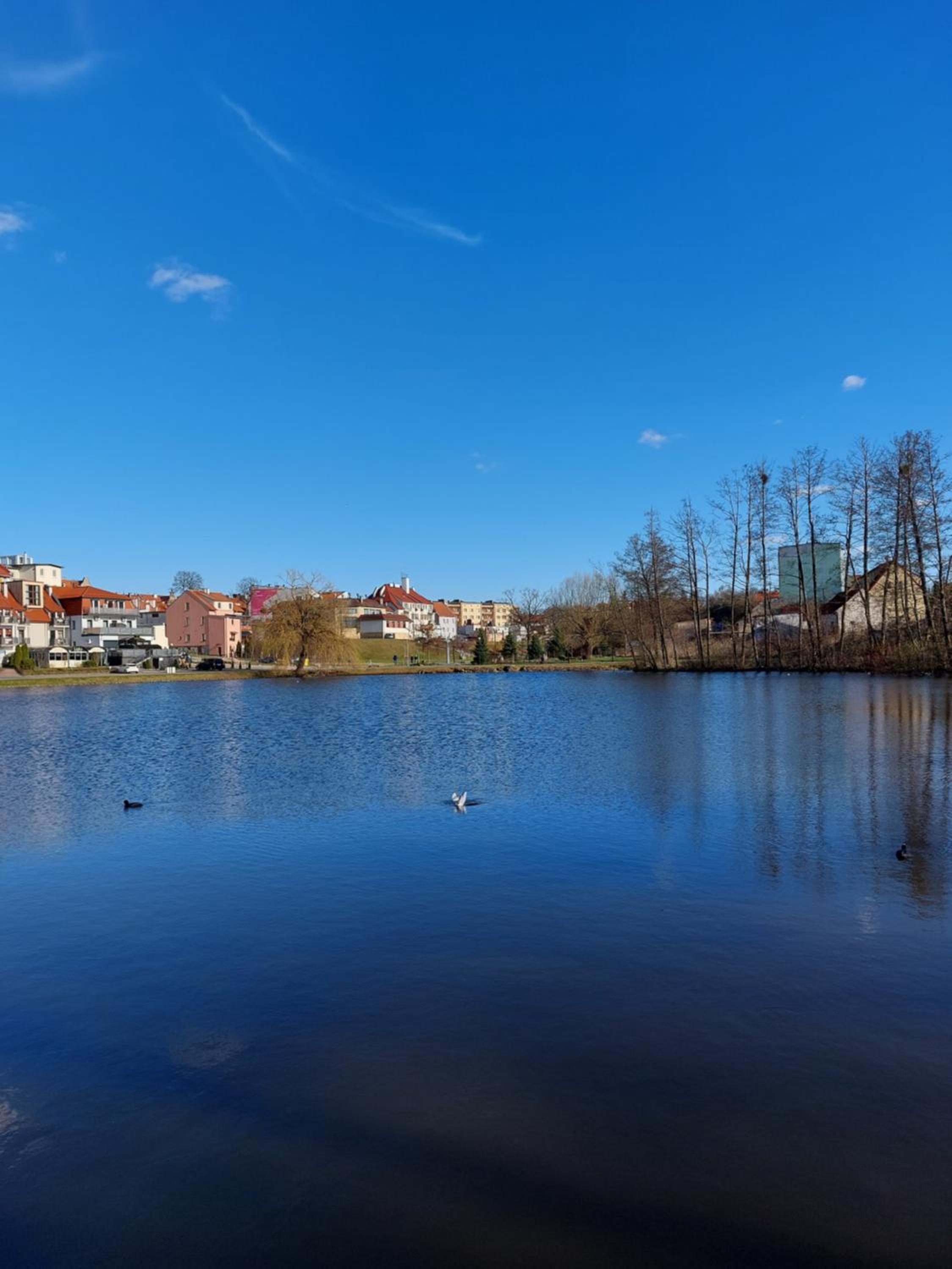 Apartament przy Jeziorku Magistrackim view 3