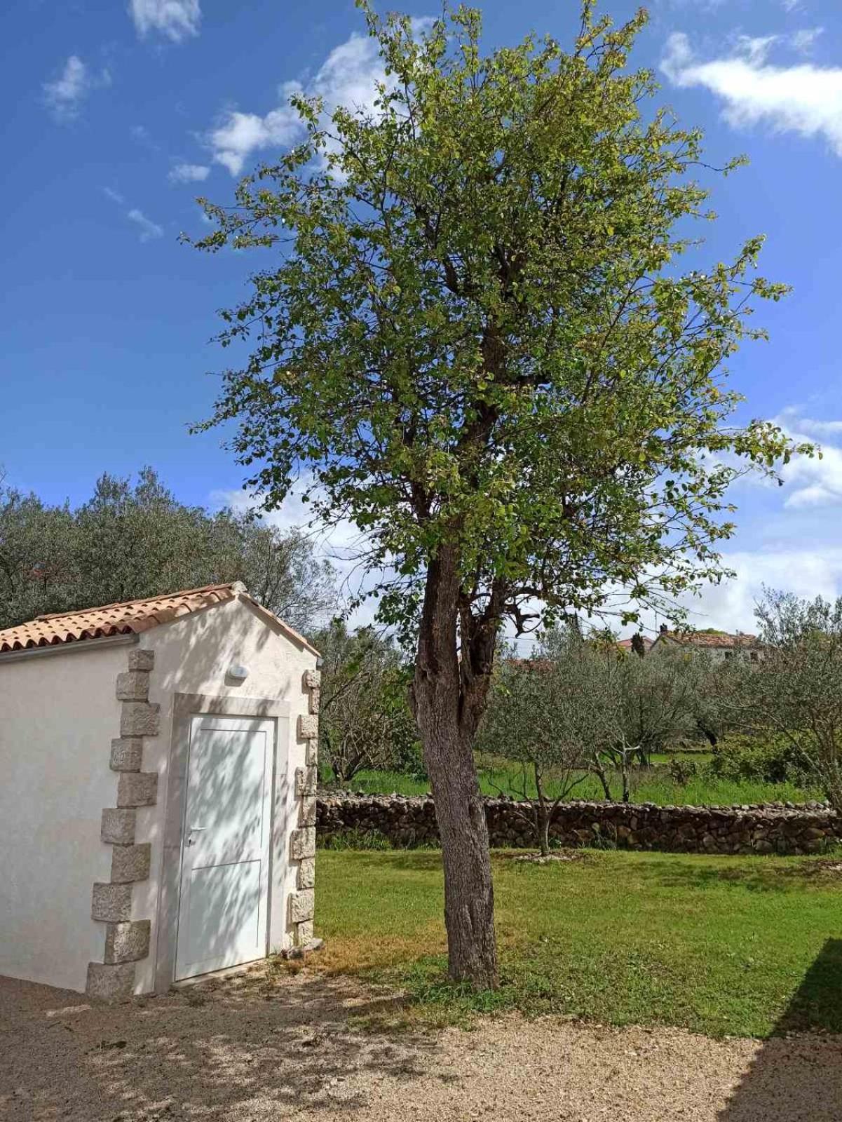 Holiday House Vela Vrta