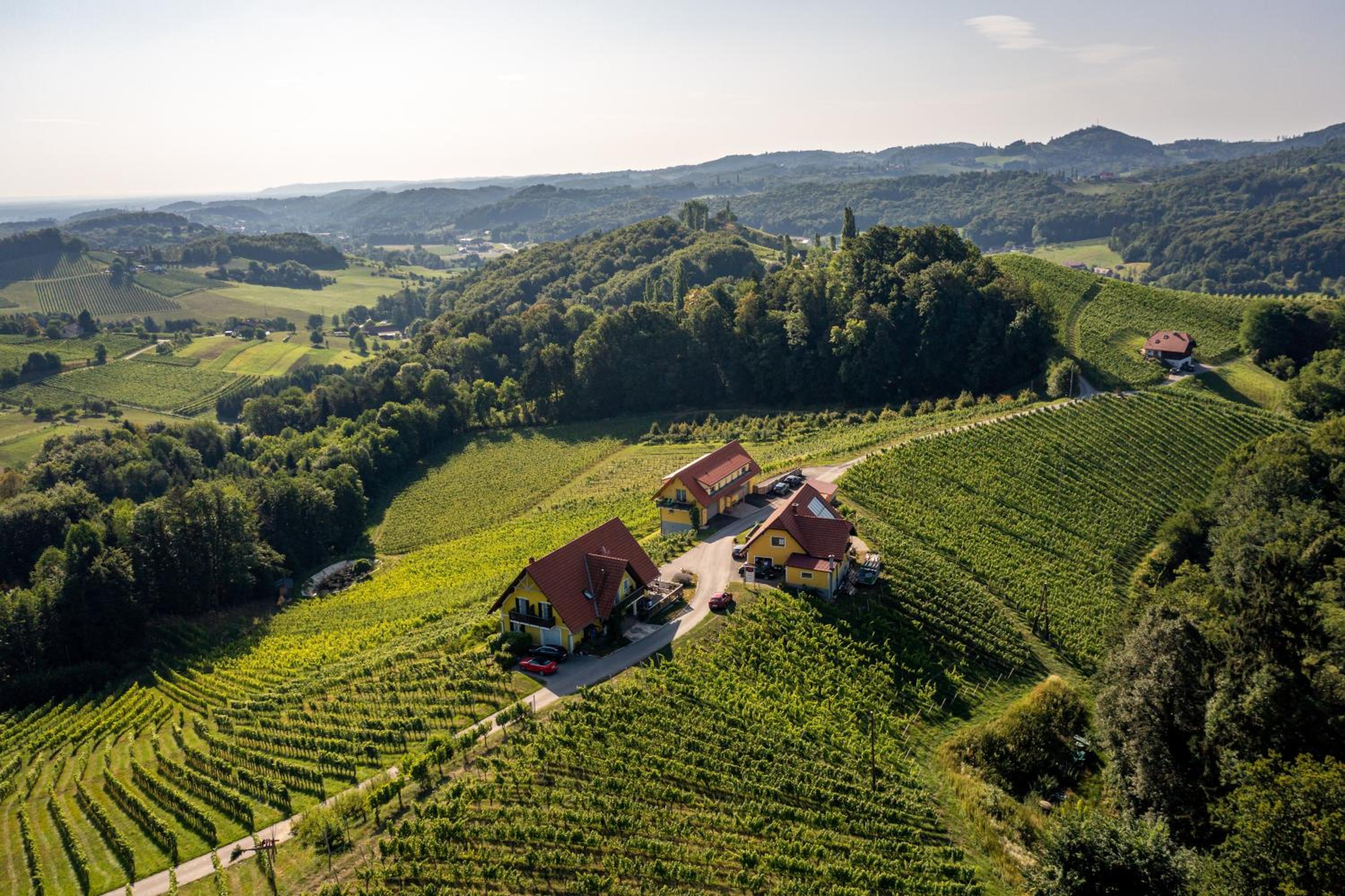 Weingut-Gästehaus Birnstingl