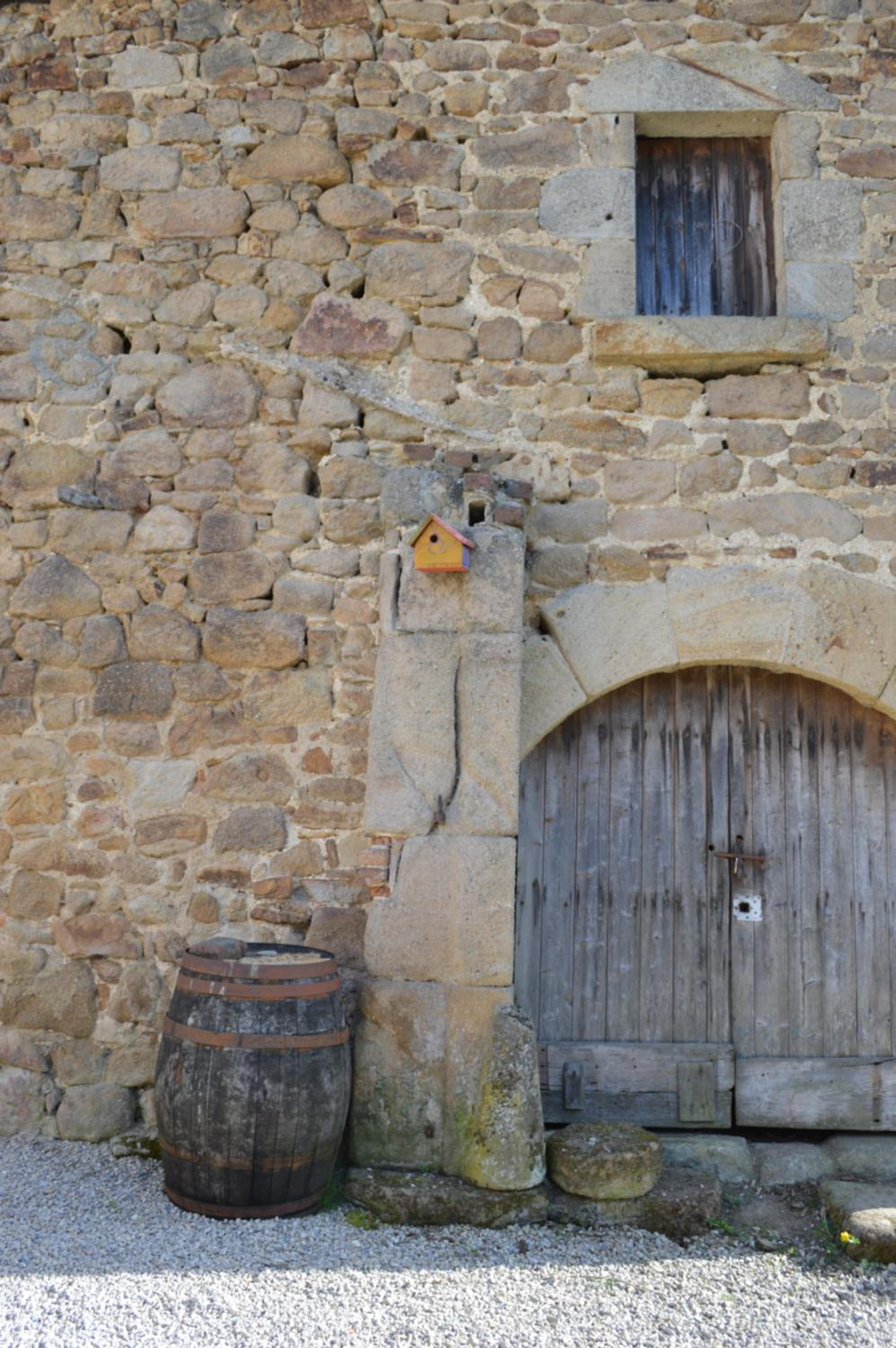Photo 8