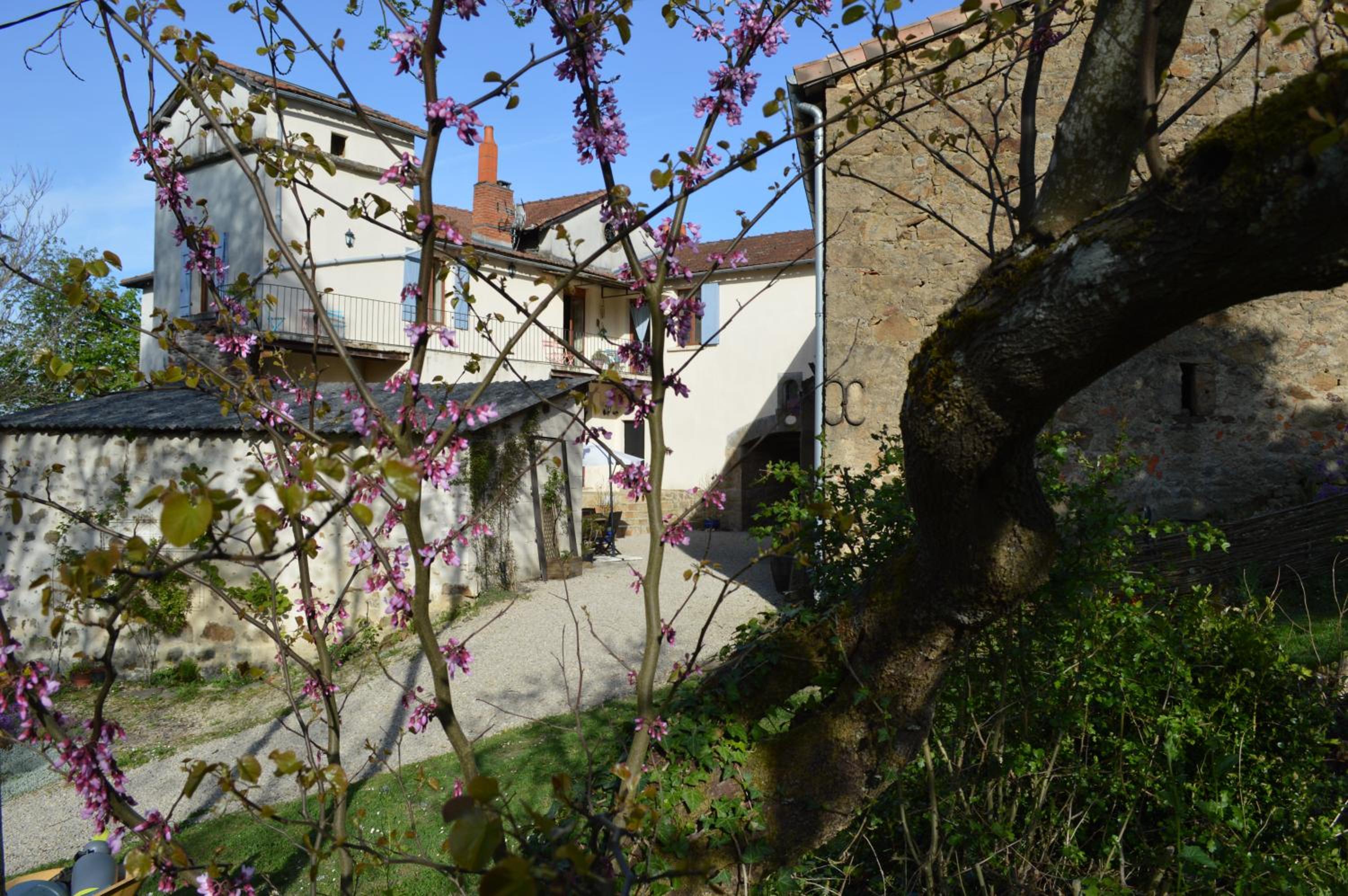 DUC MANOIR Chambres d'hôtes view 5