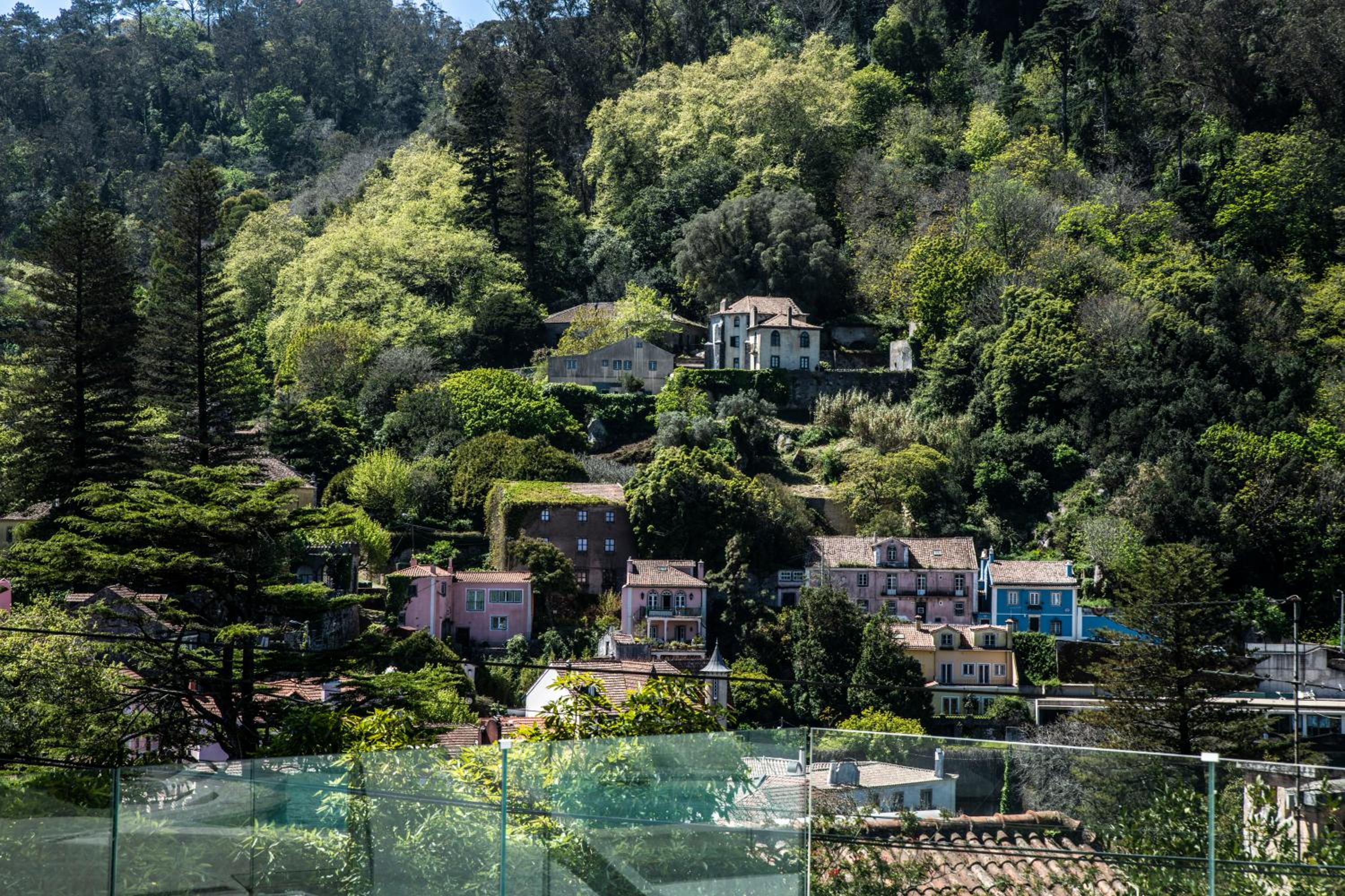 Cedros Nature House view 5