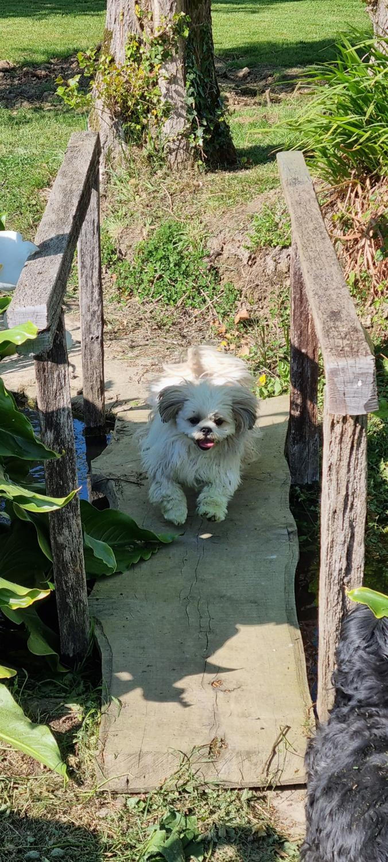 Le Relais de la Comté view 3