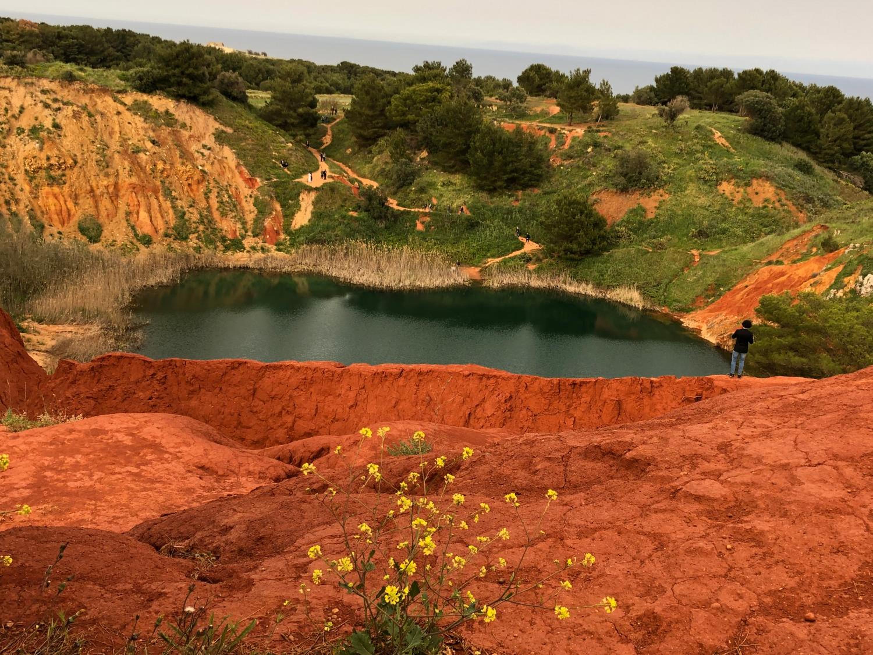 Tenuta L'Alba di monte Matino photo 3
