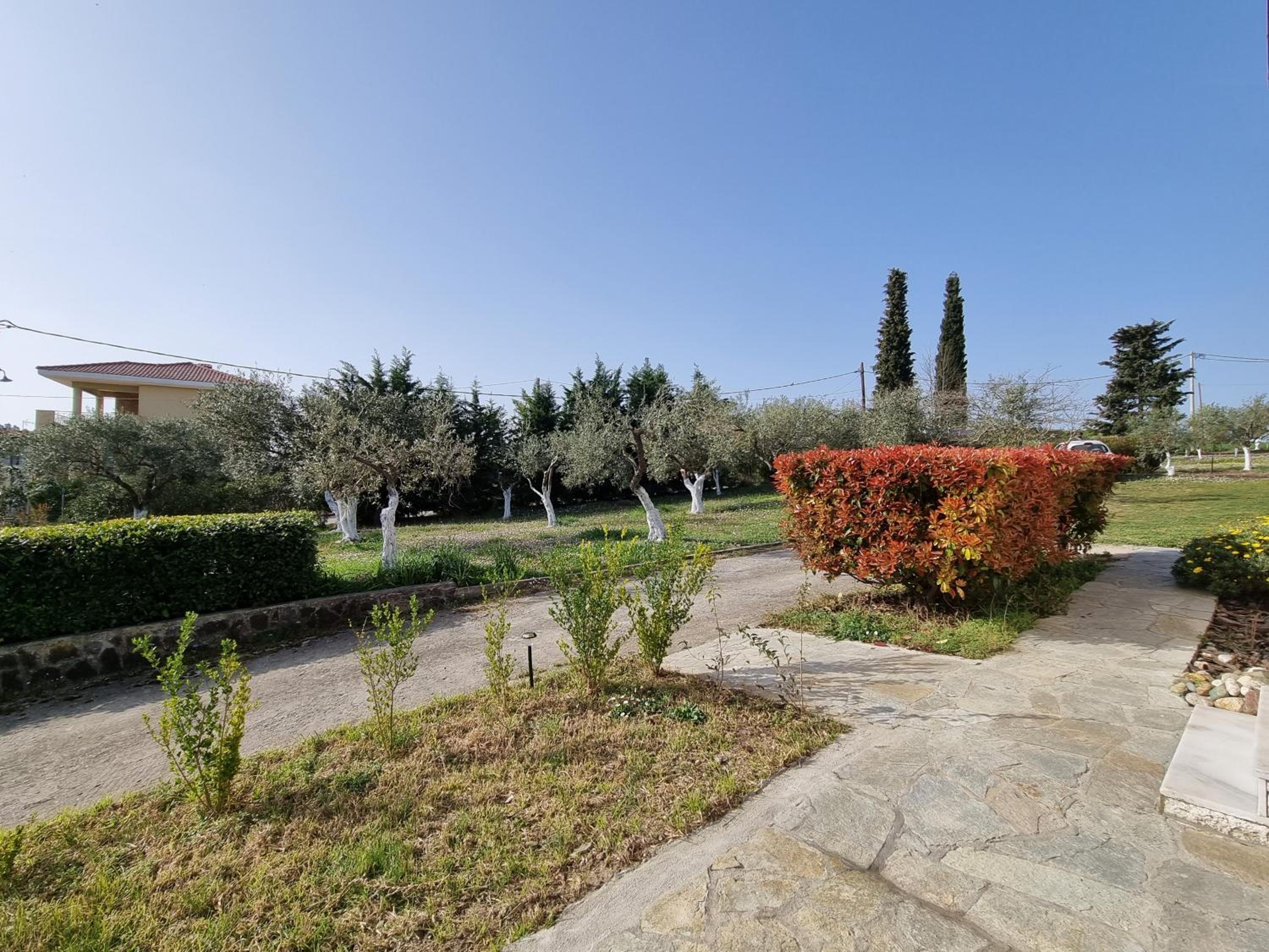 Alivia Garden view 3