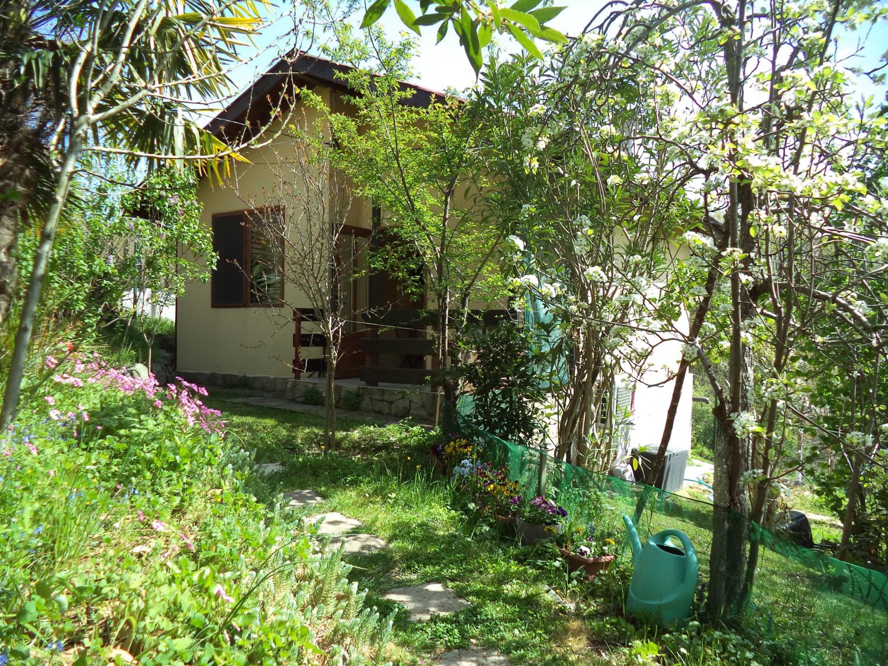 Yellow Villa