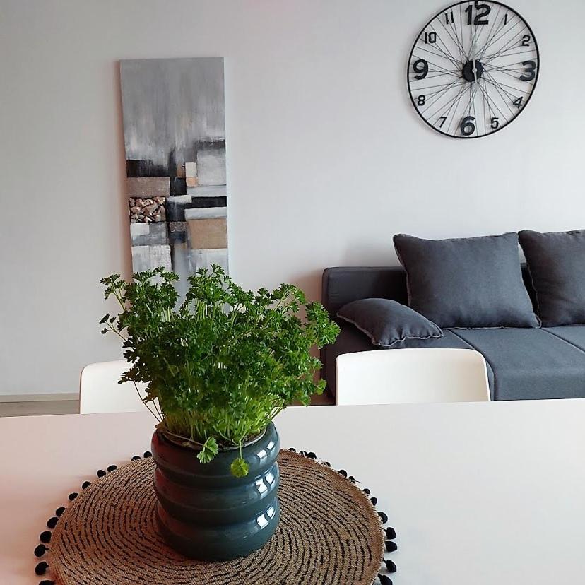 Urban Nest, sunny apartment 4 stars Rijeka view 5