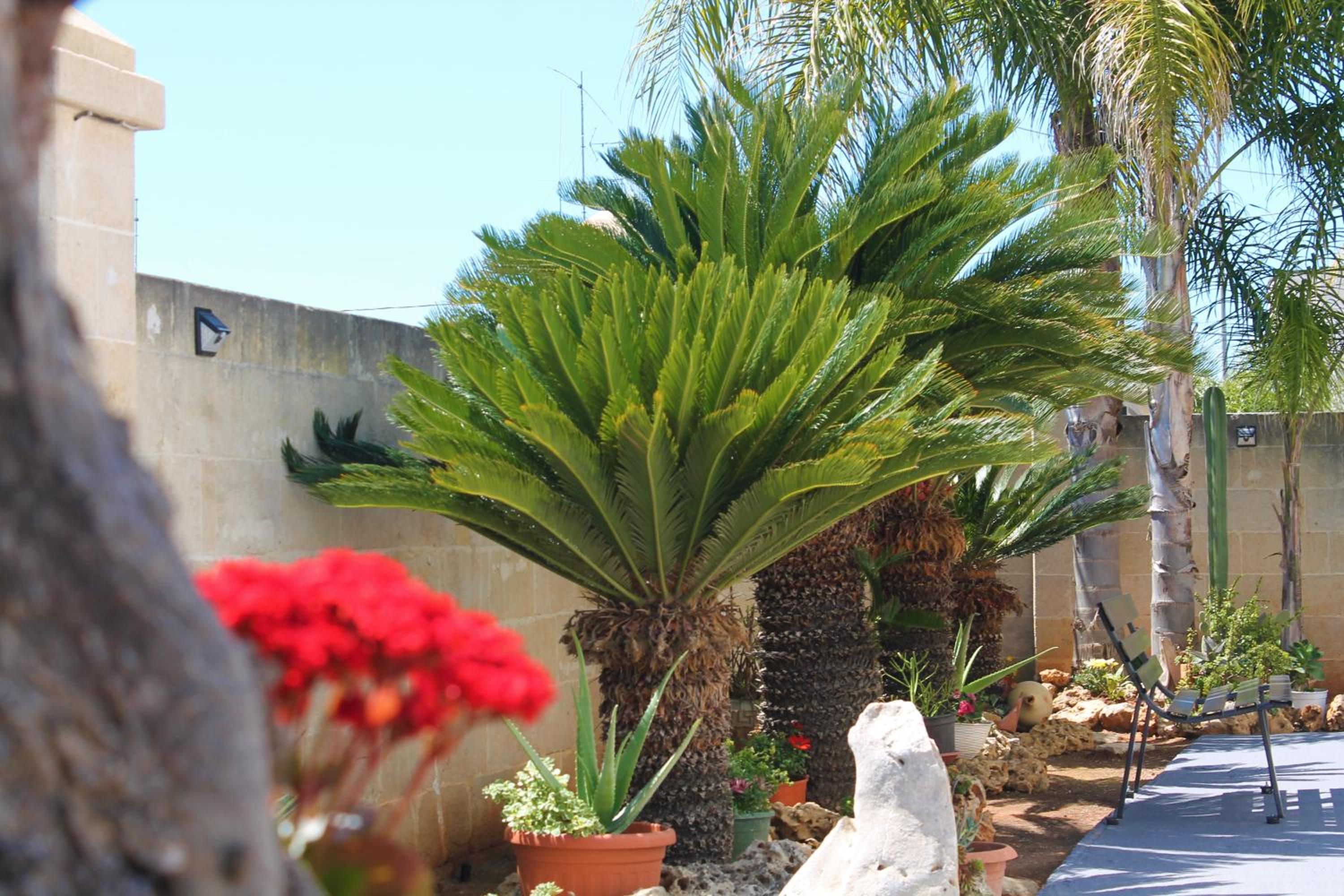 Appartamento Mary photo 3