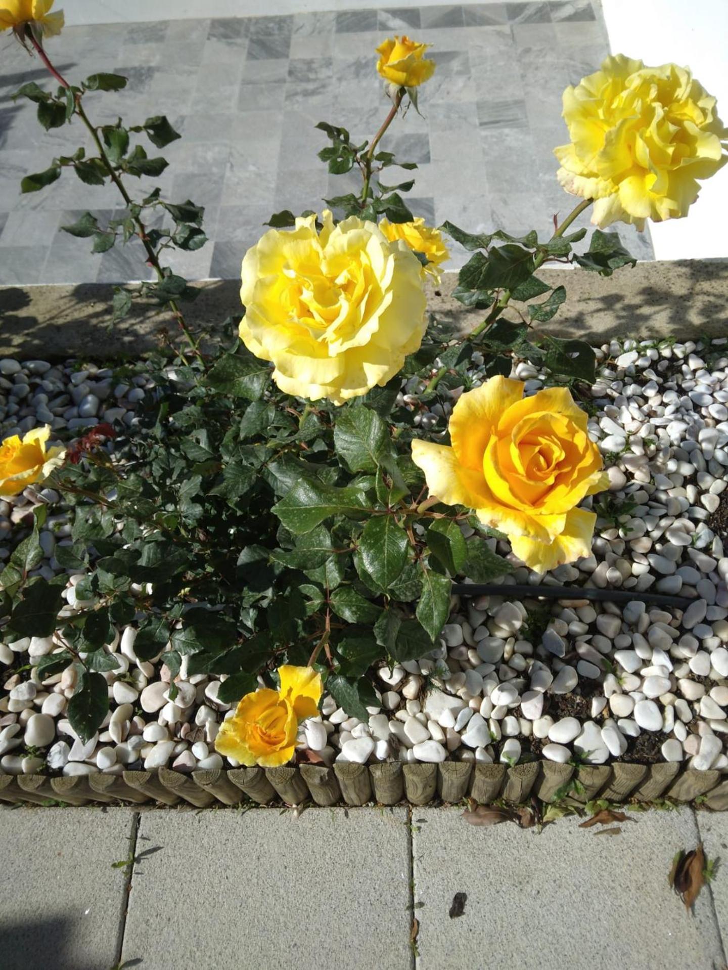 Photo 24