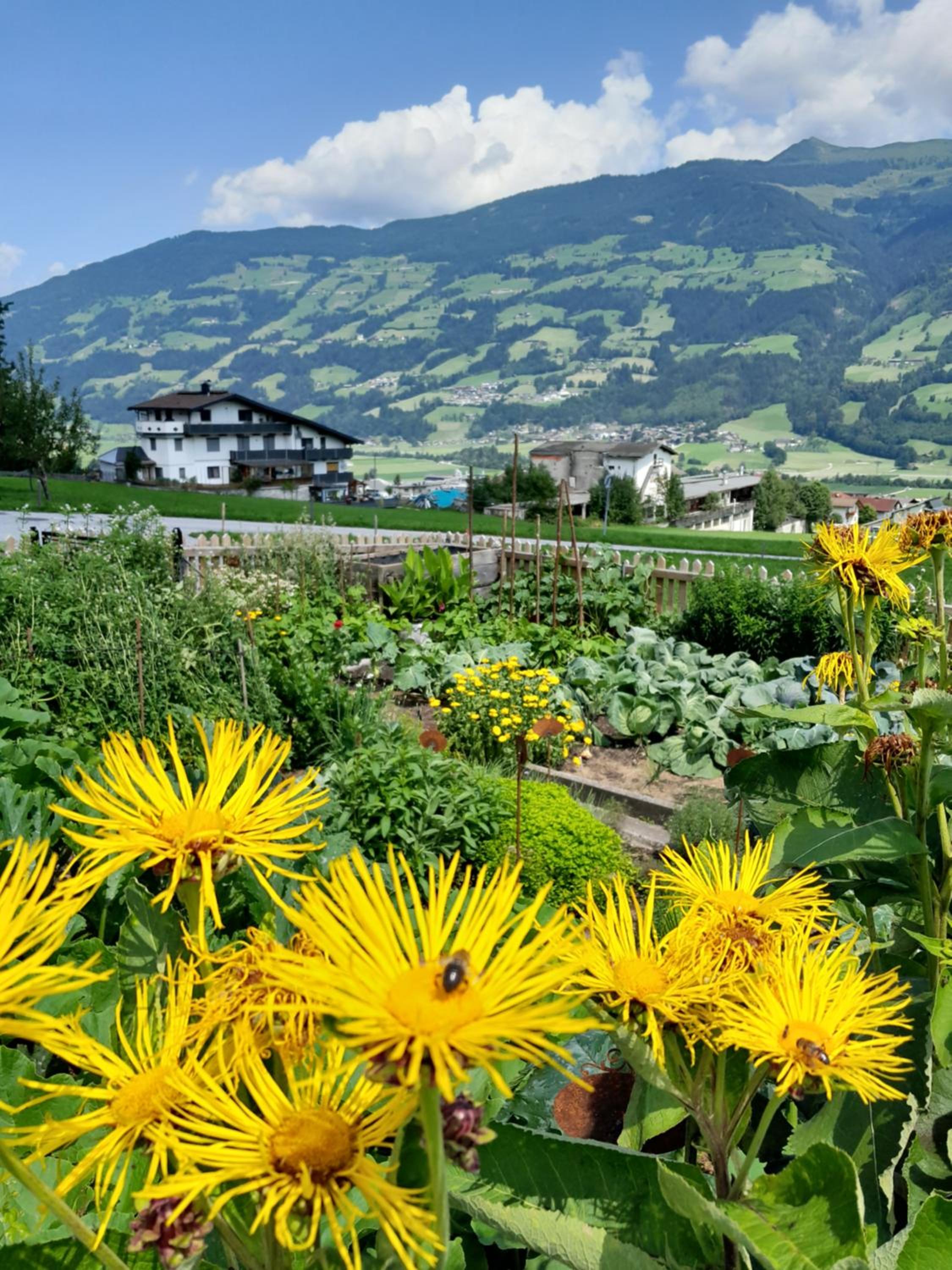 Schorpenhof