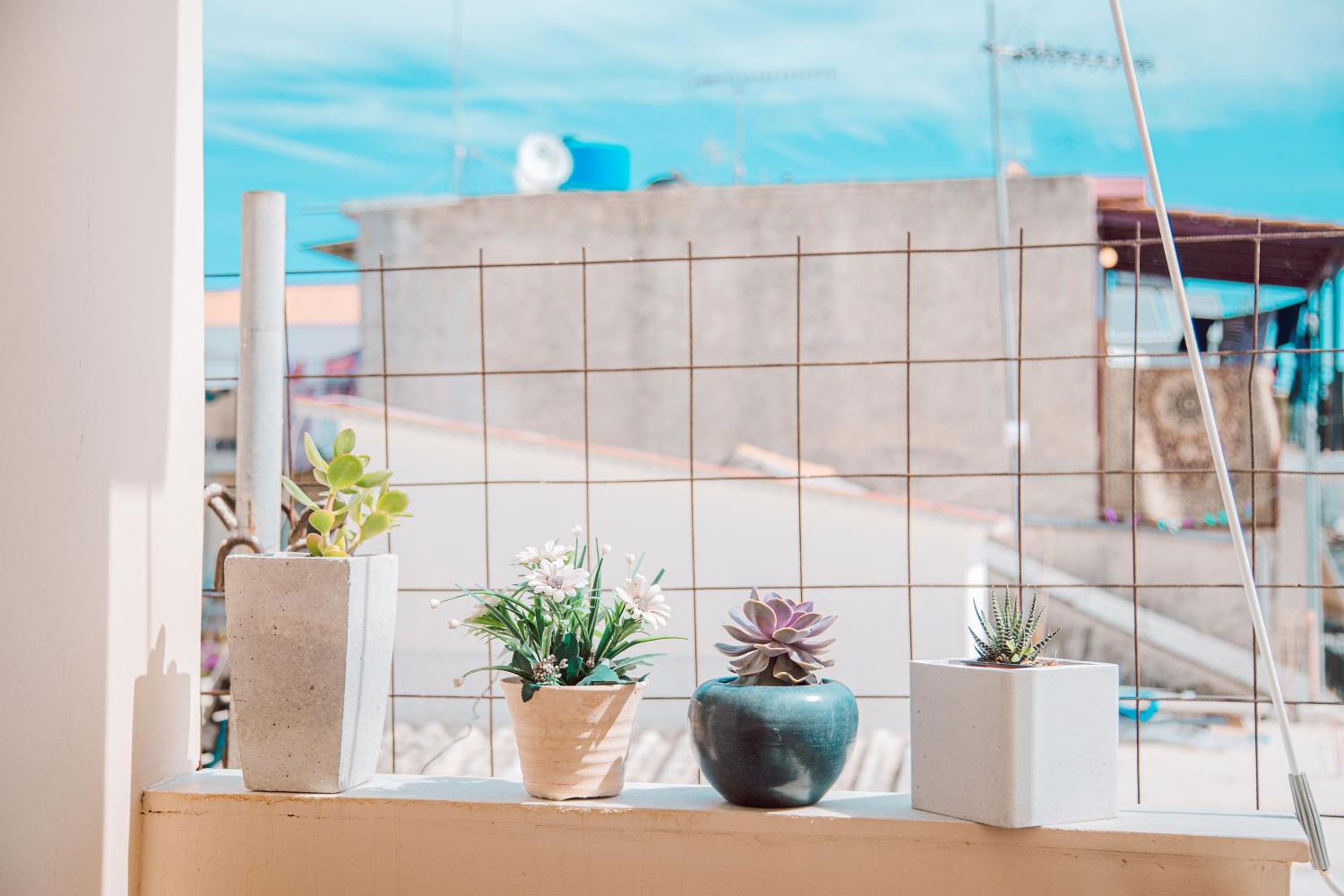 Oasis Zante Apartment view 2
