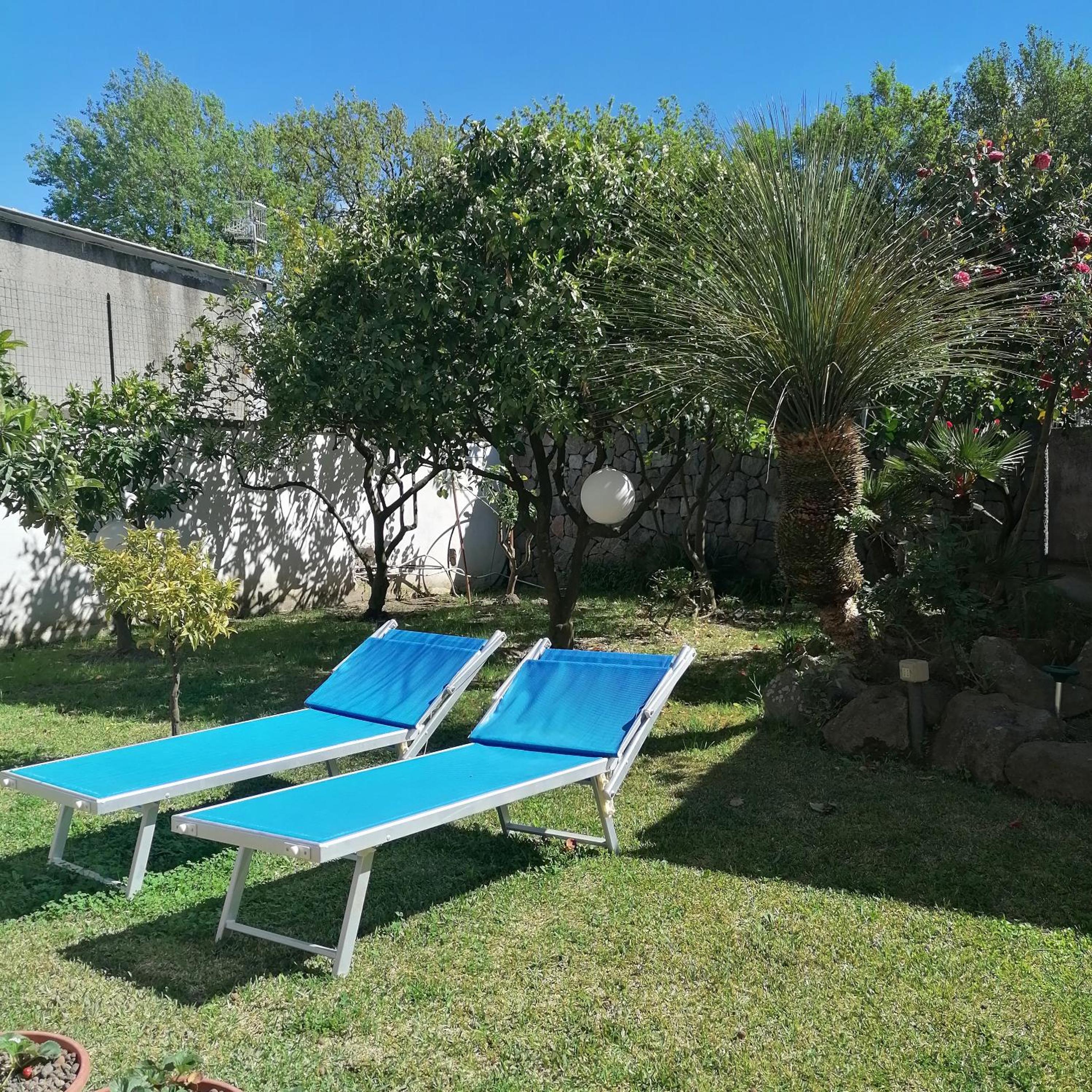 A CASA view 2