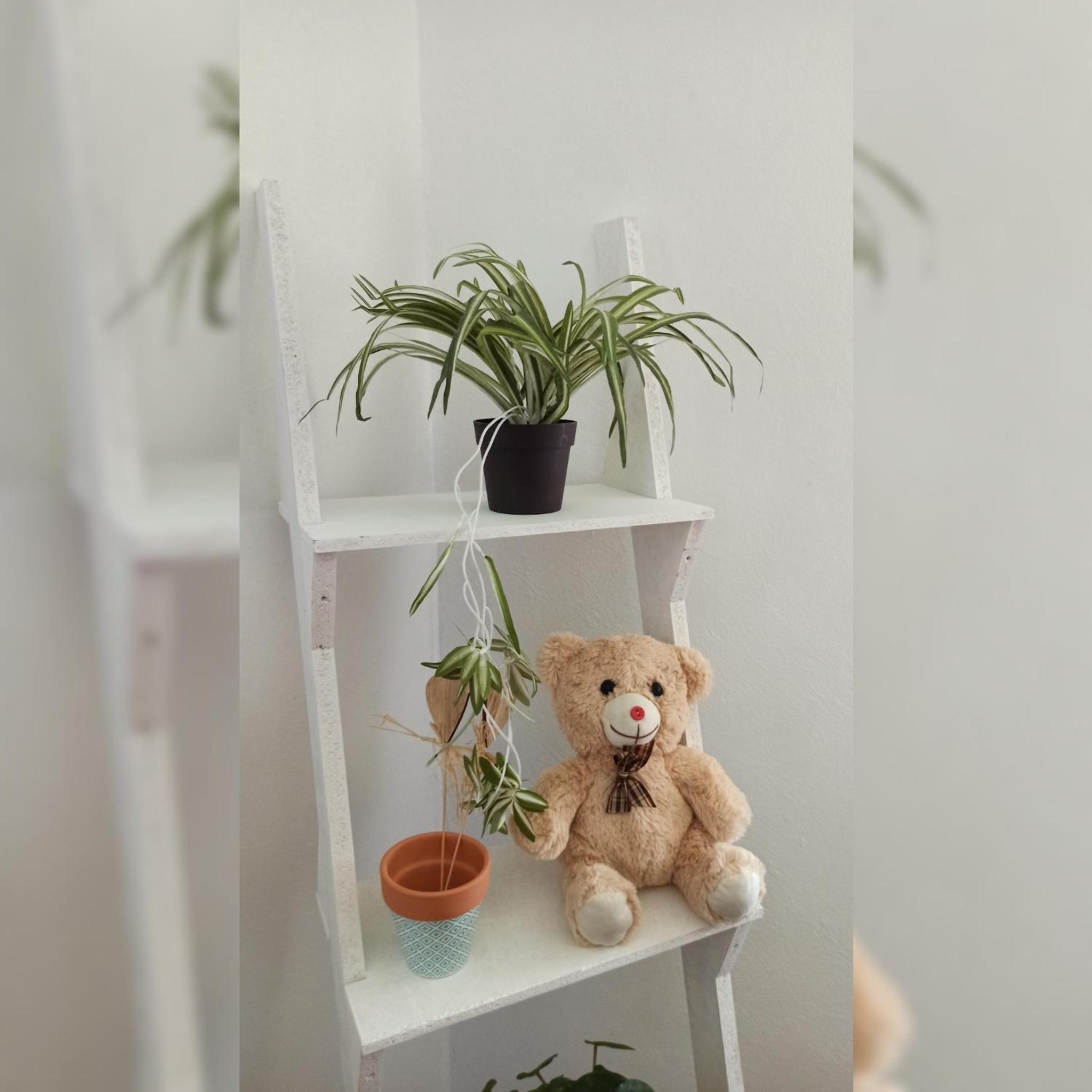 Martha`s place Drač 照片第 20 張，共 39 張