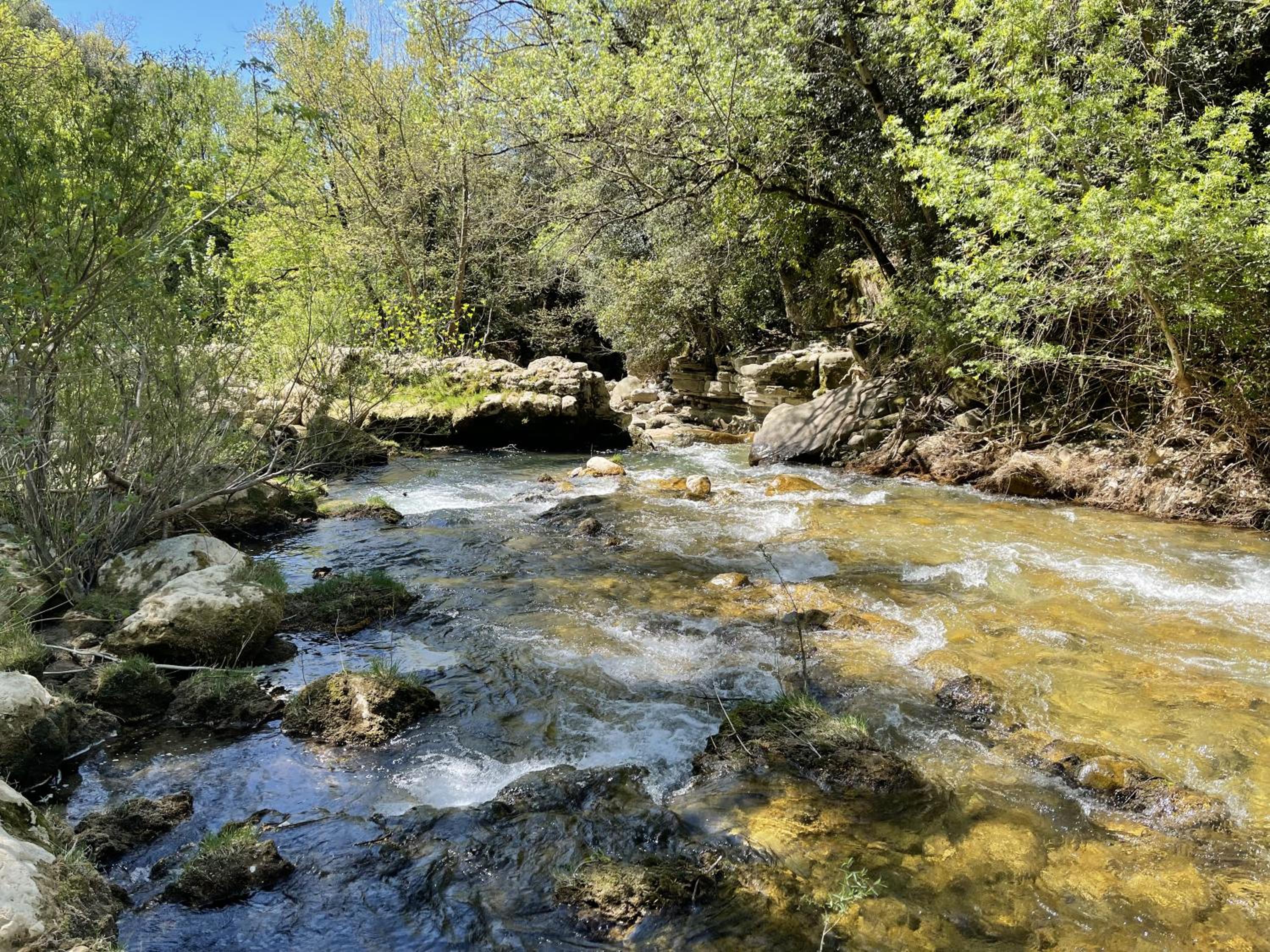 Photo 18