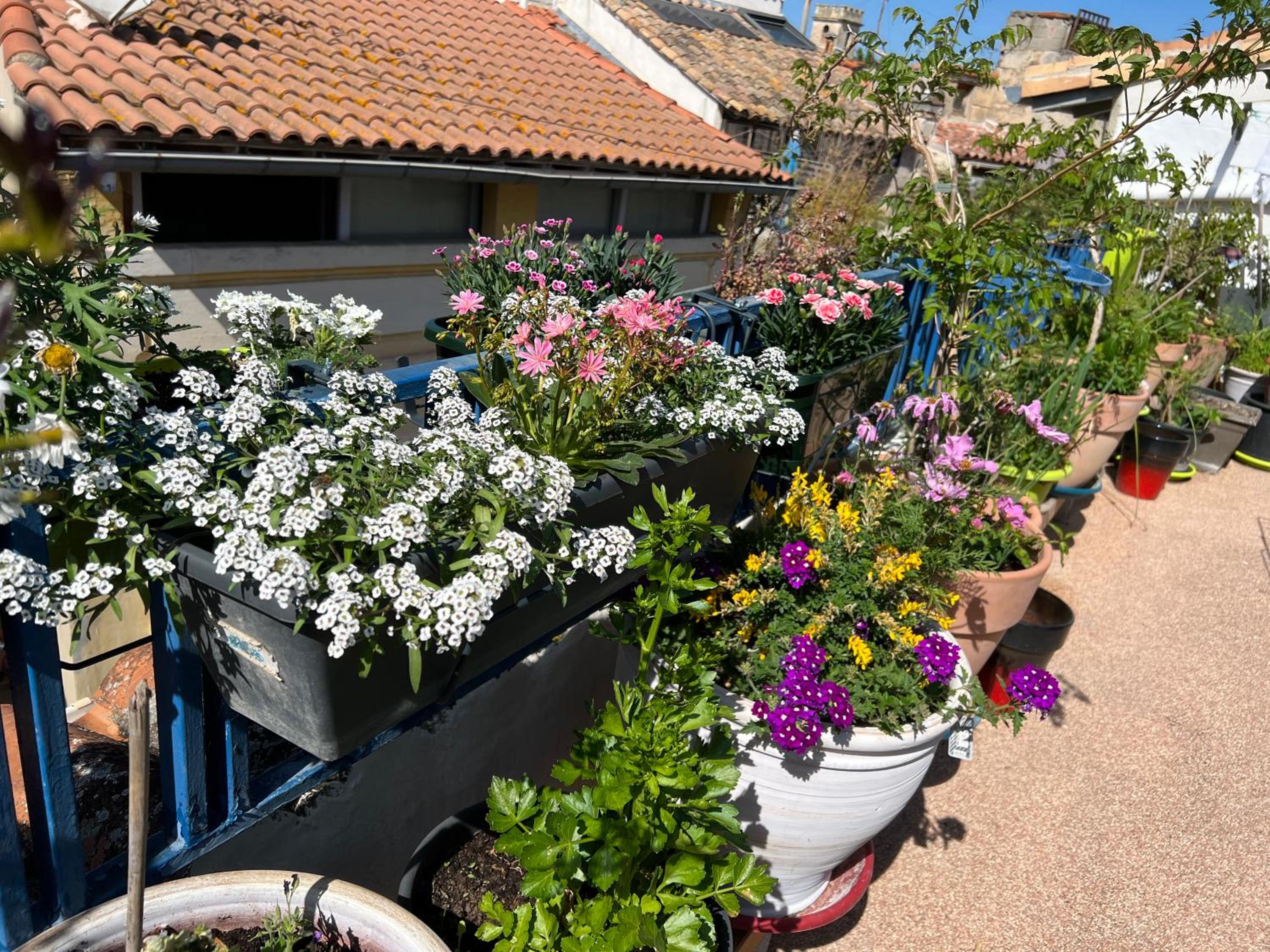 Loft Apartment , La Terrasse Centre Ville d'Arles, view 2