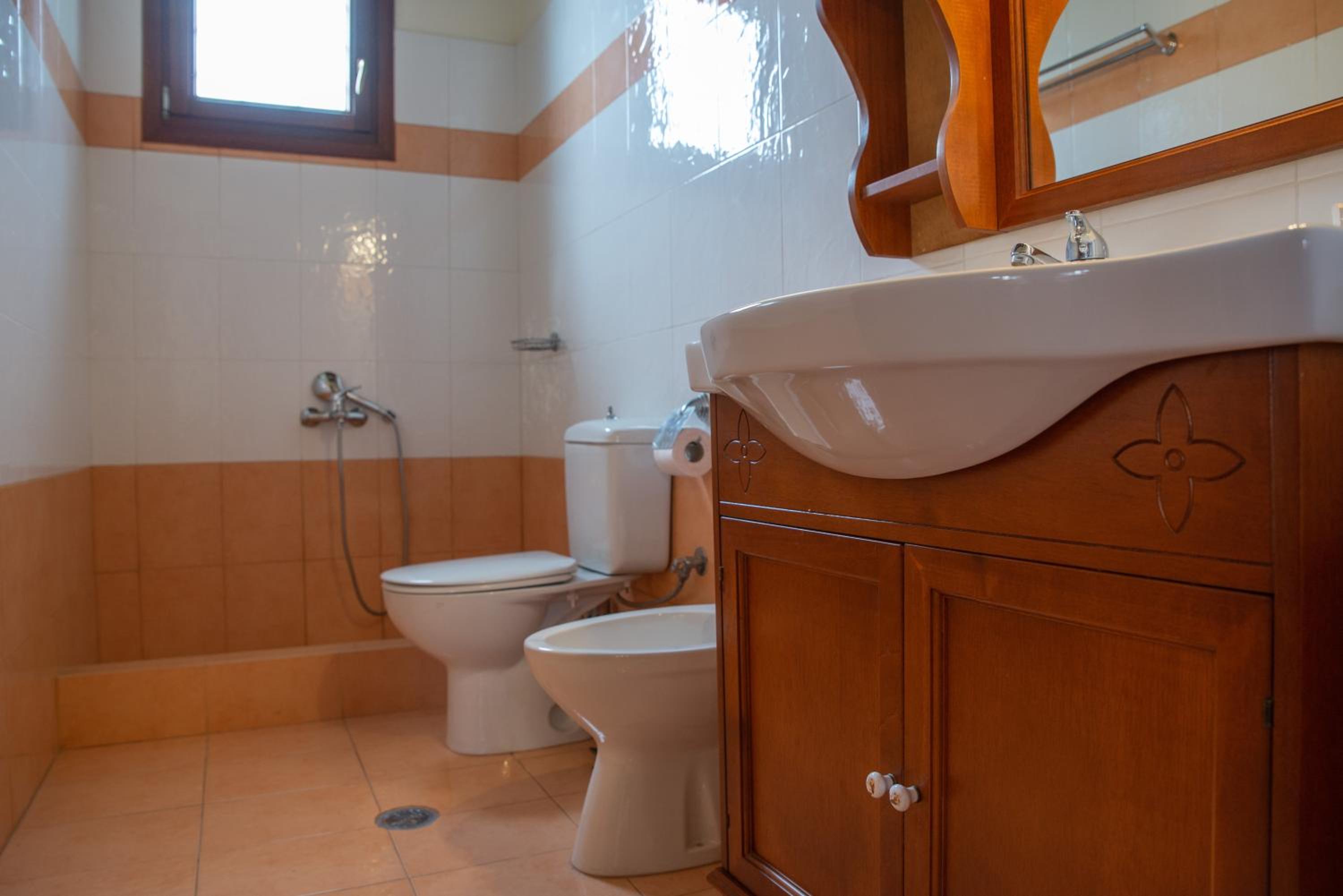 Notas Pelion Seaview Villa view 3