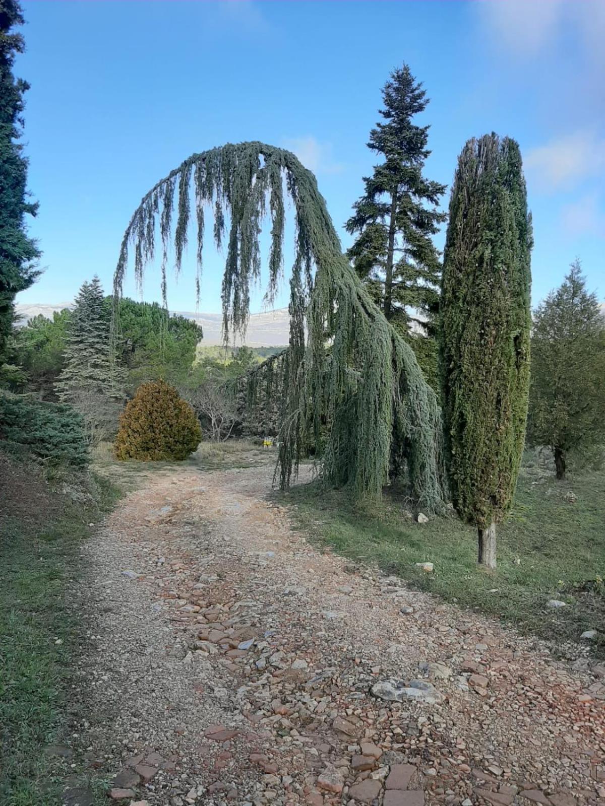 Photo 12