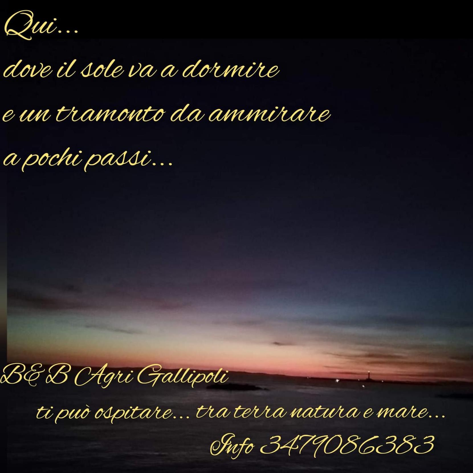 Photo 51