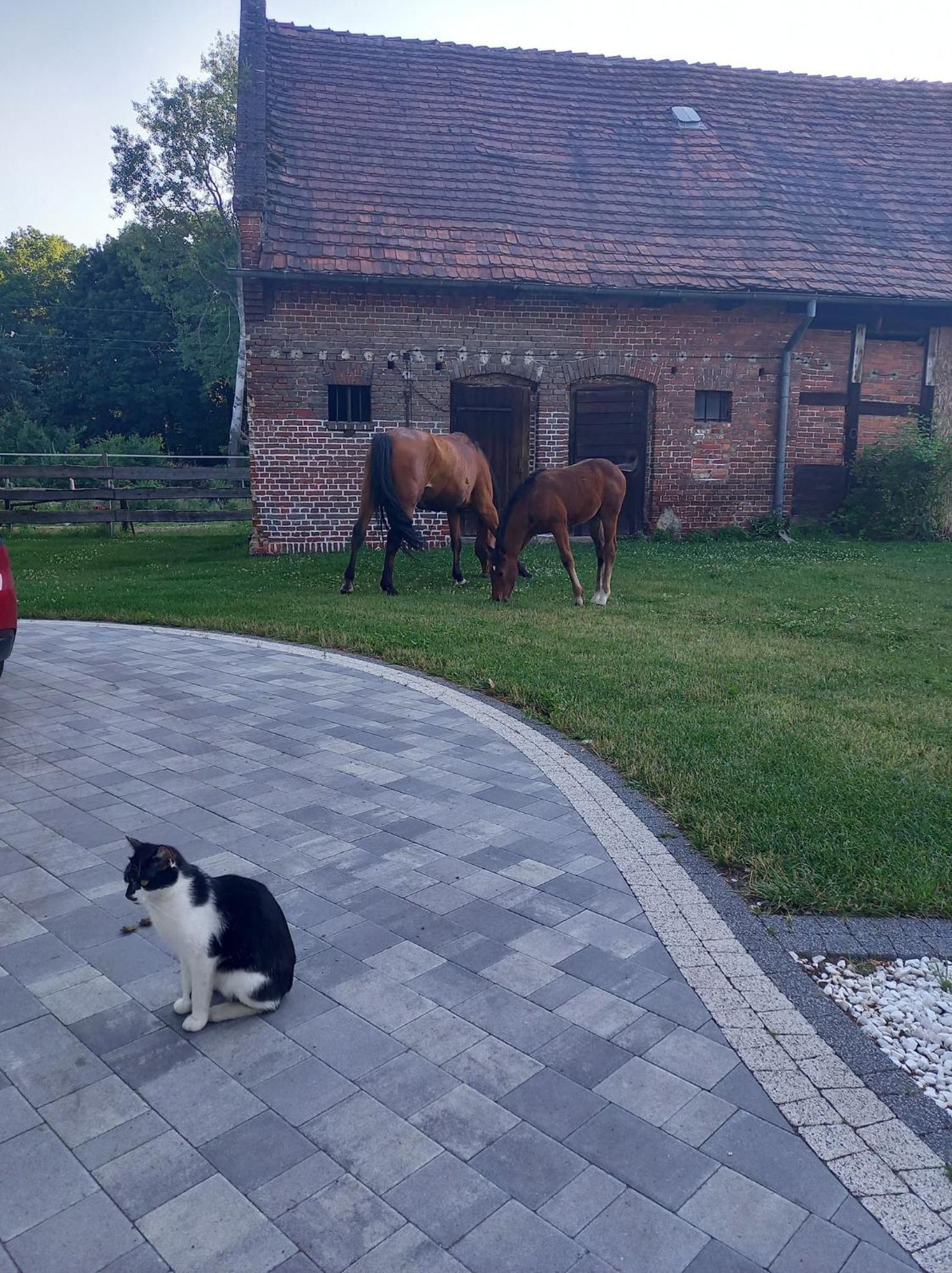 Leśniczówka Grabczok view 4