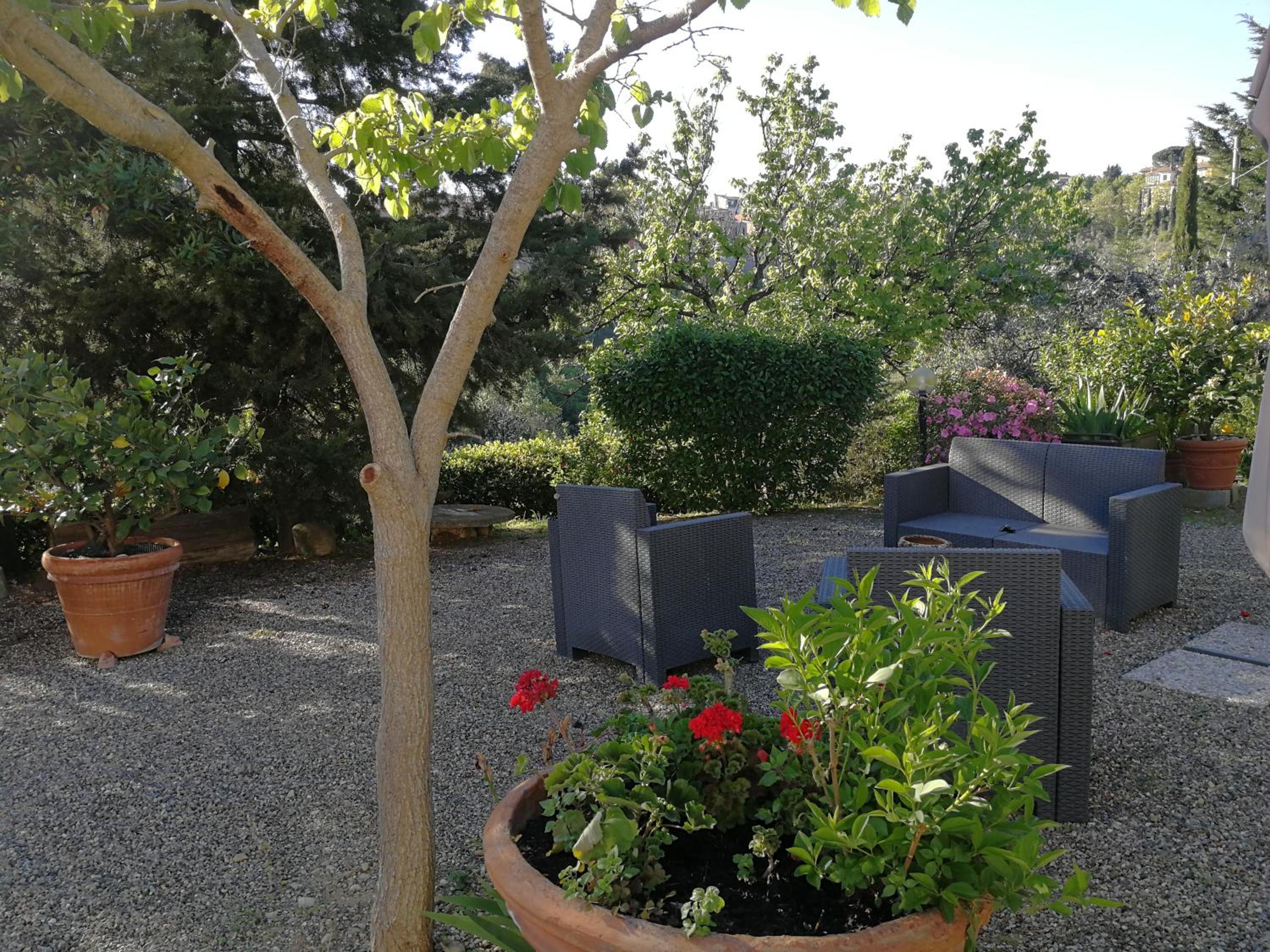 Le Massucce view 3