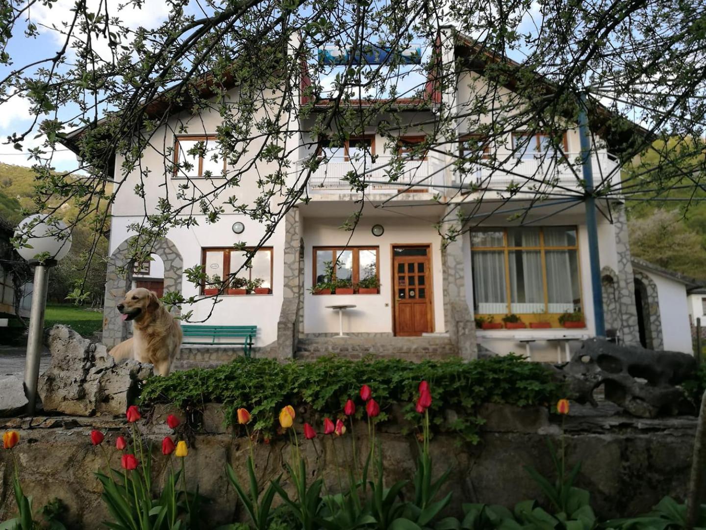 Guest Rooms in Balkan Guest House