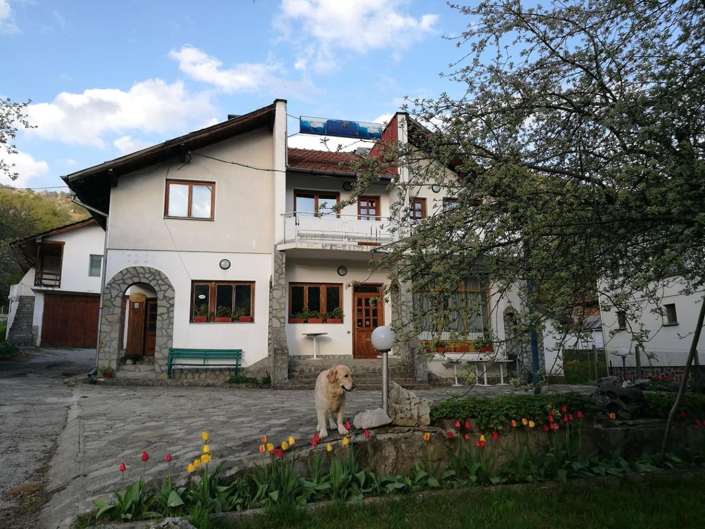 Guest Rooms in Balkan Guest House