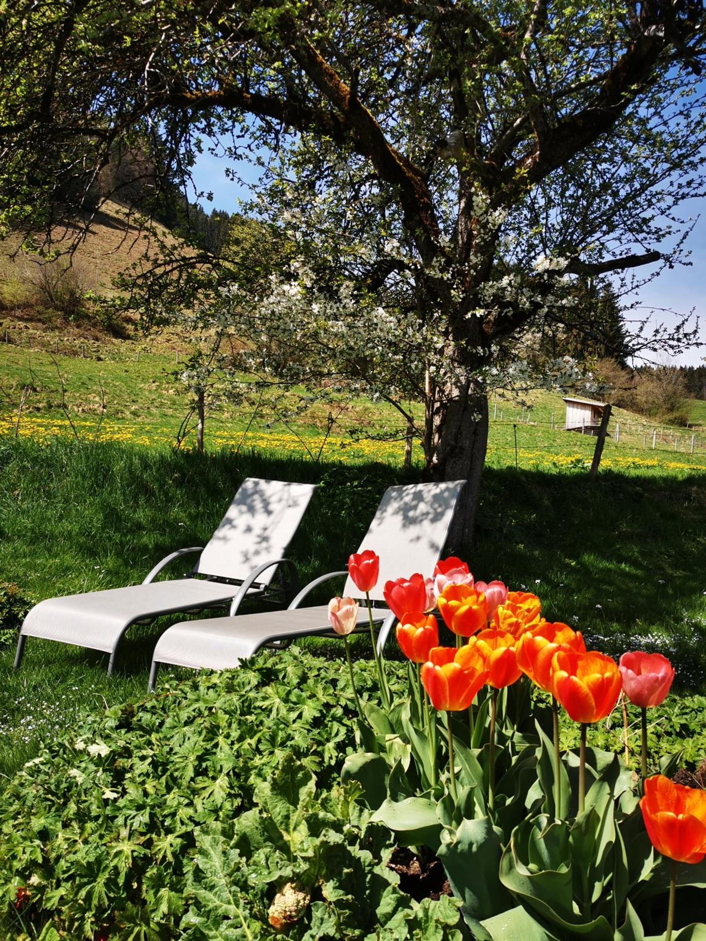 Blumenoase Allgäu view 3