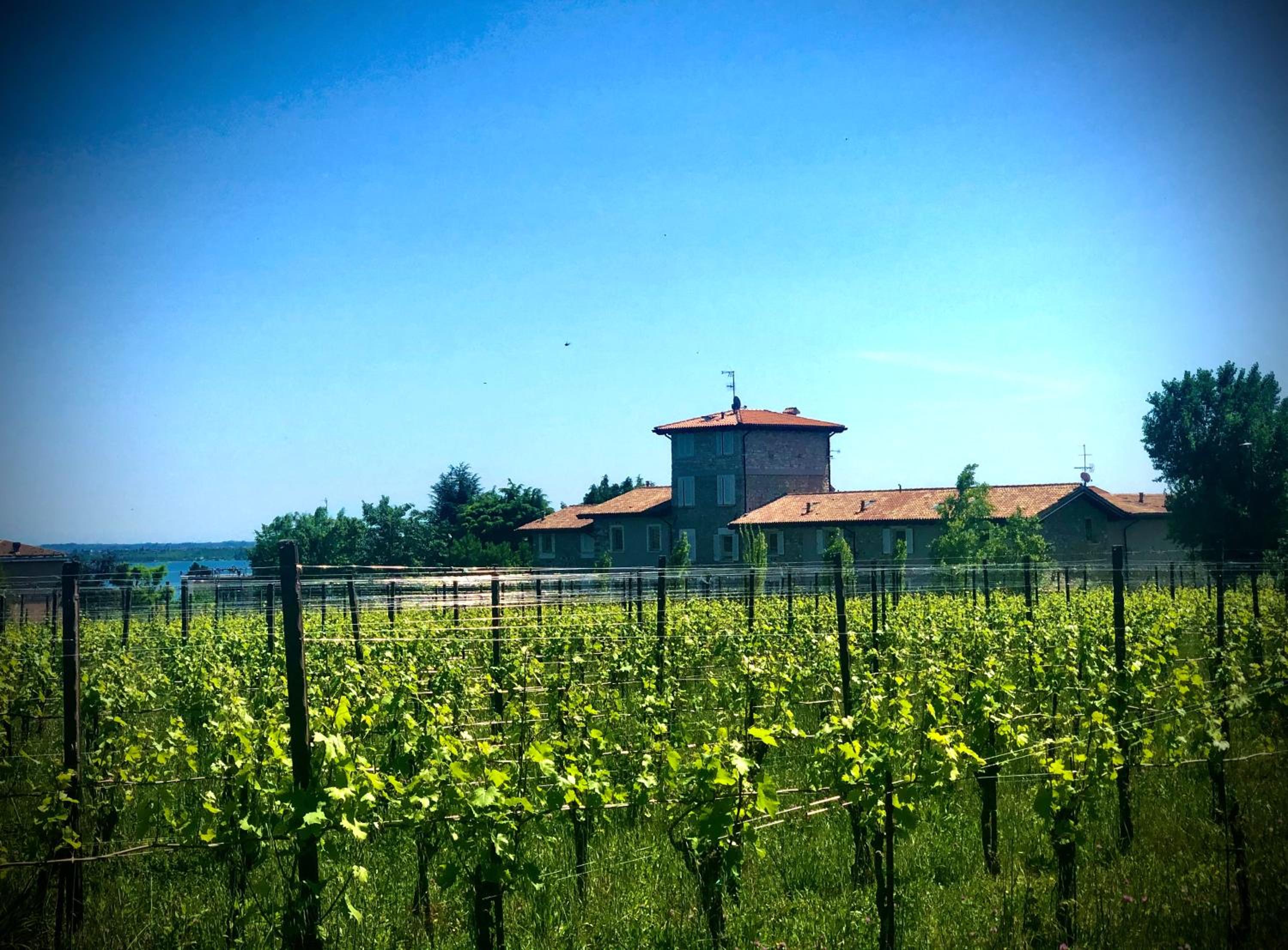 Relais Madergnago Gardapartments