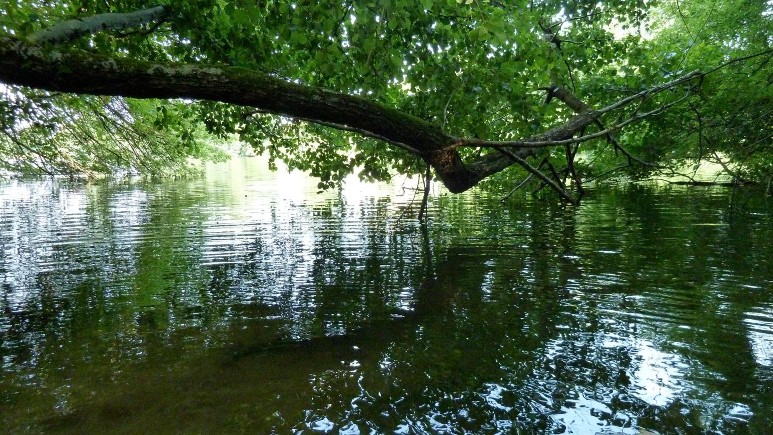Photo 25
