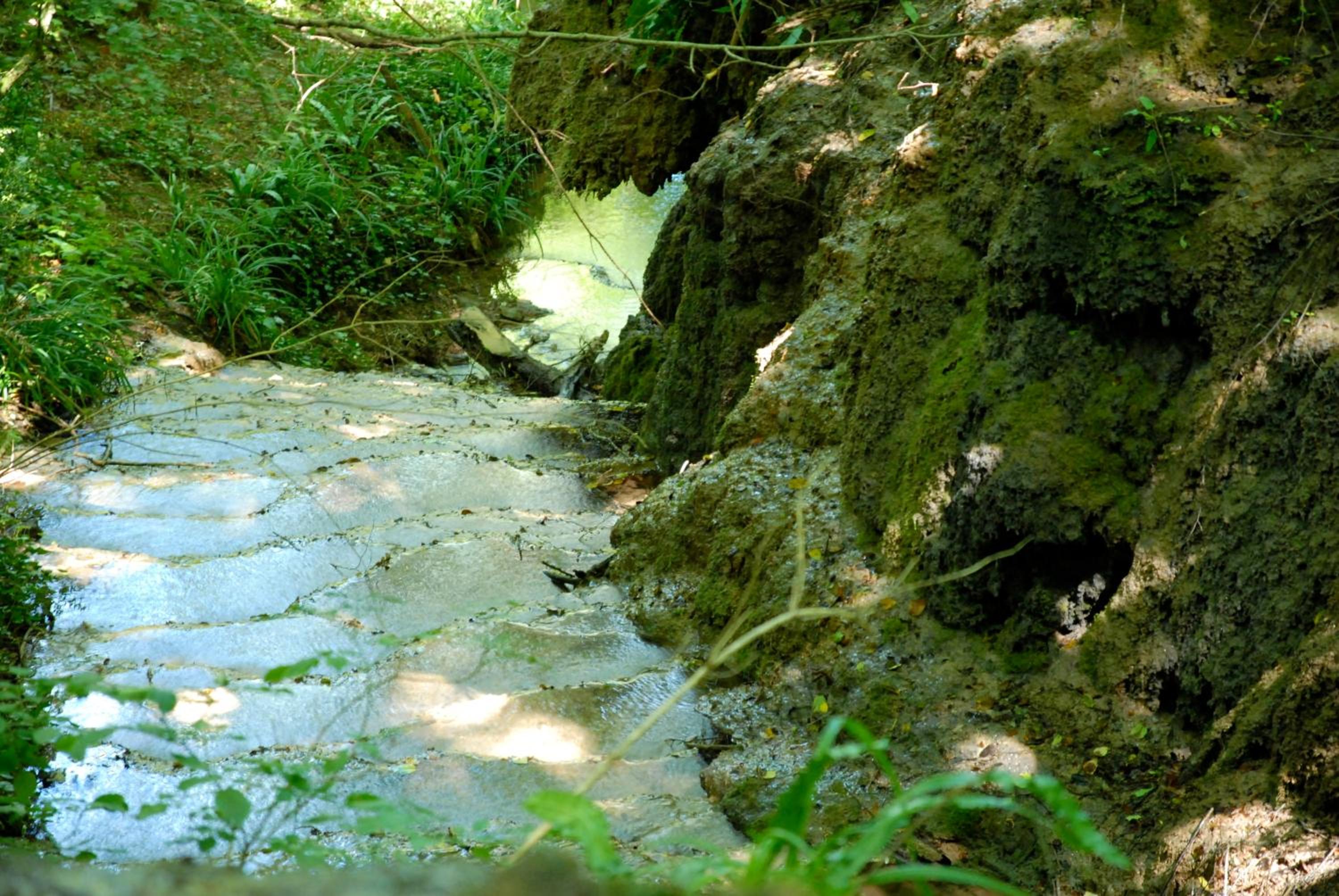 Photo 24