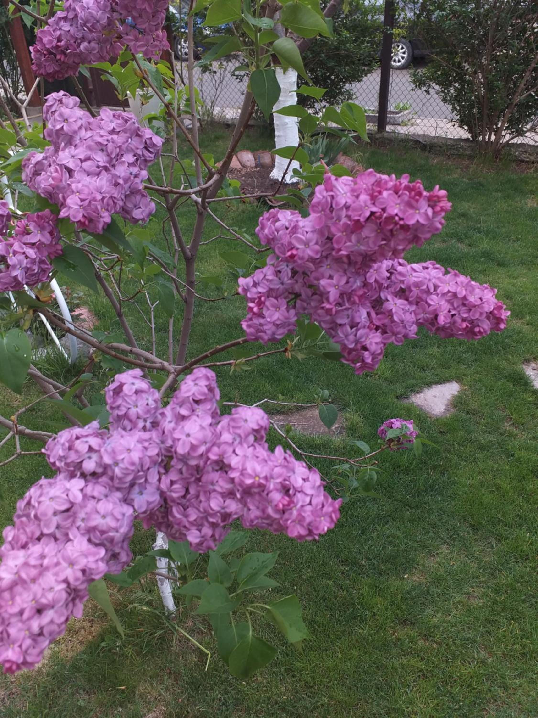 Guest House Gradina
