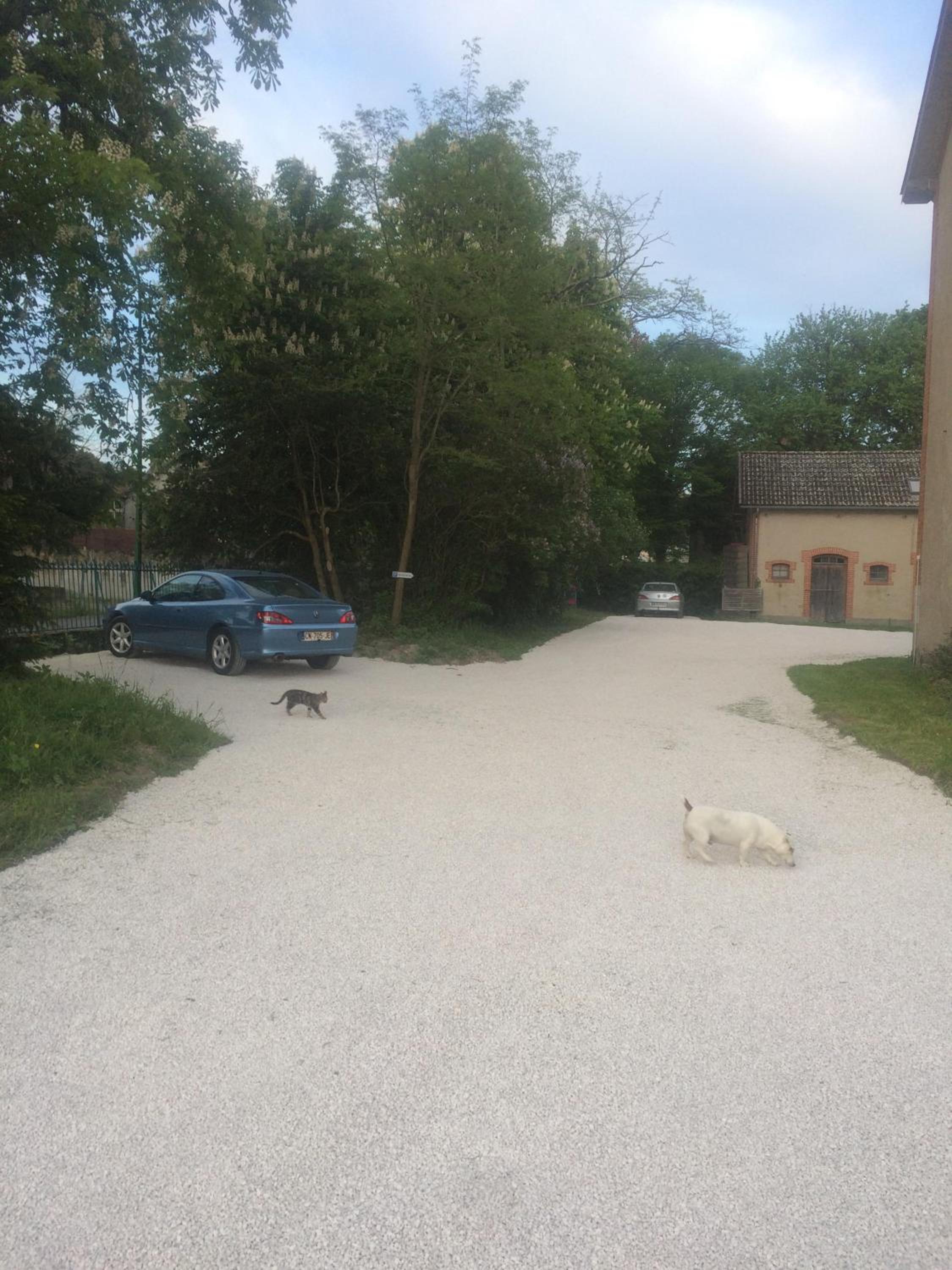 Photo 22