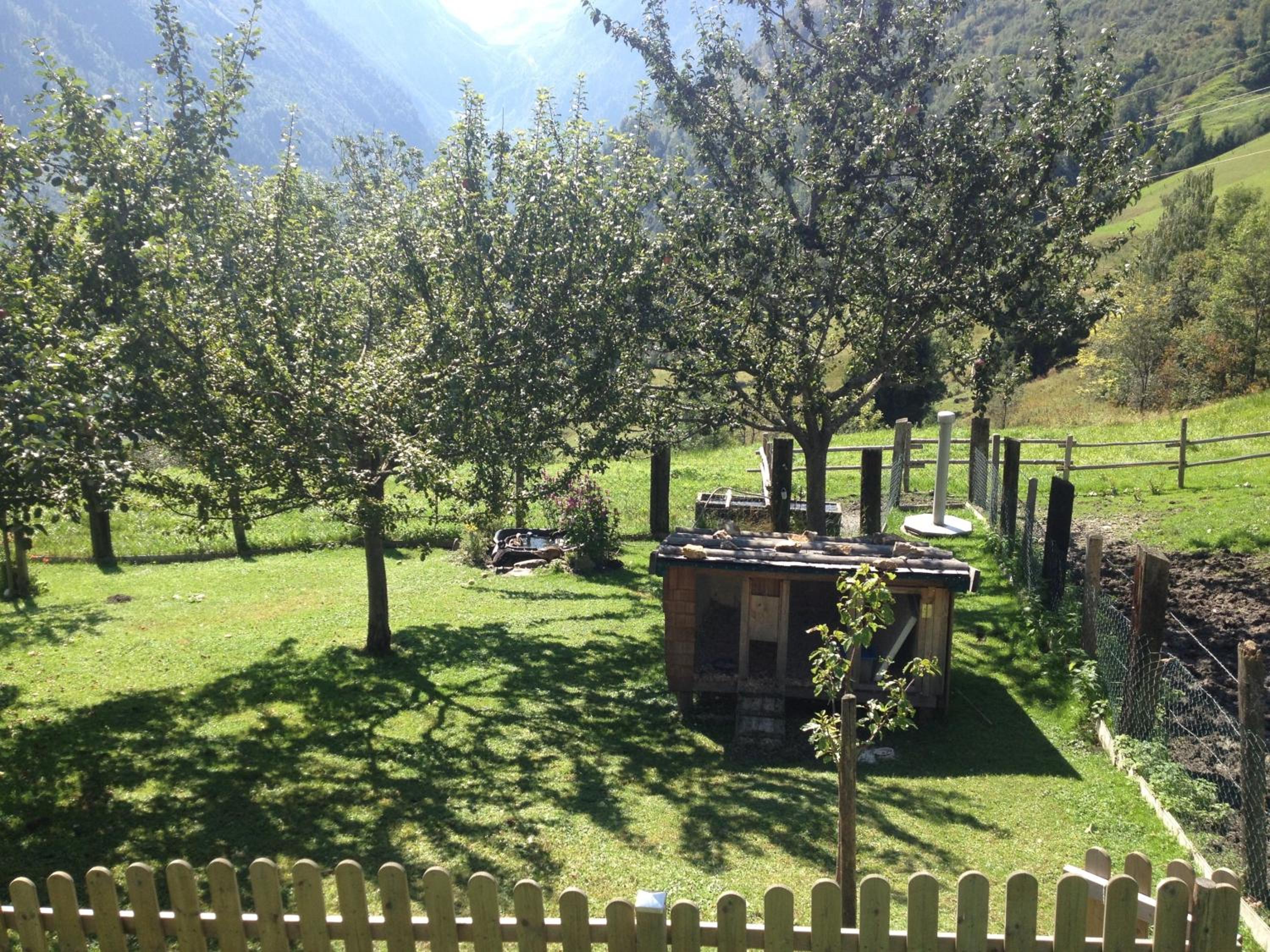Weisssteinalm