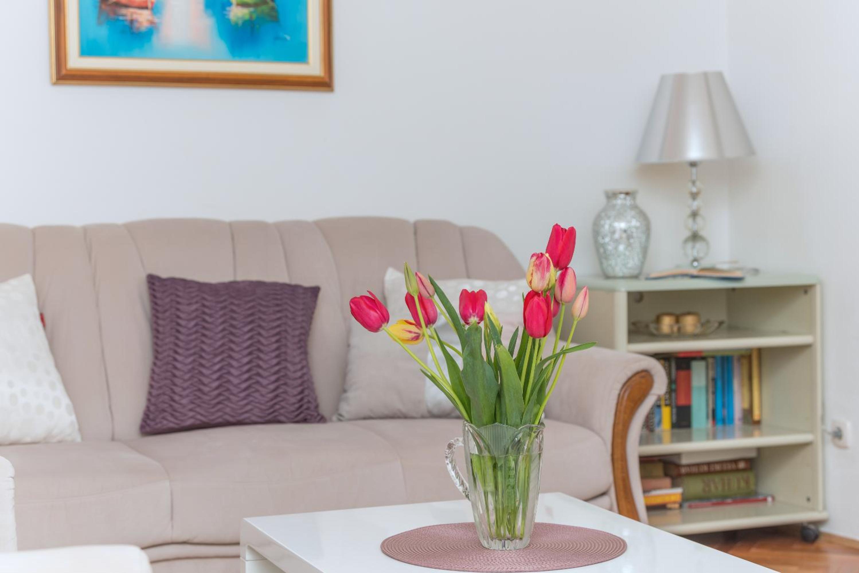 Apartman Centar Glavaš view 2
