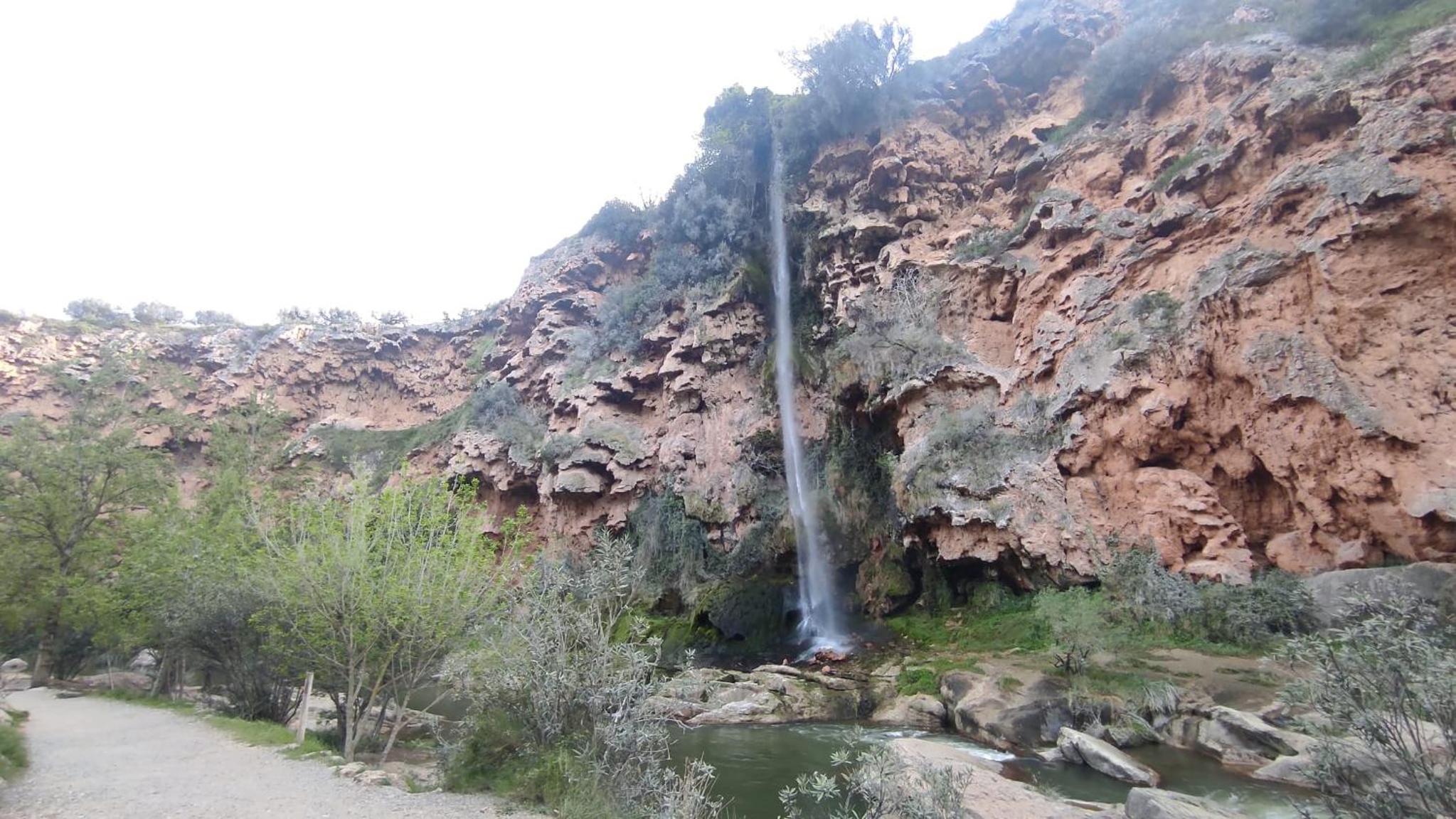 Photo 21