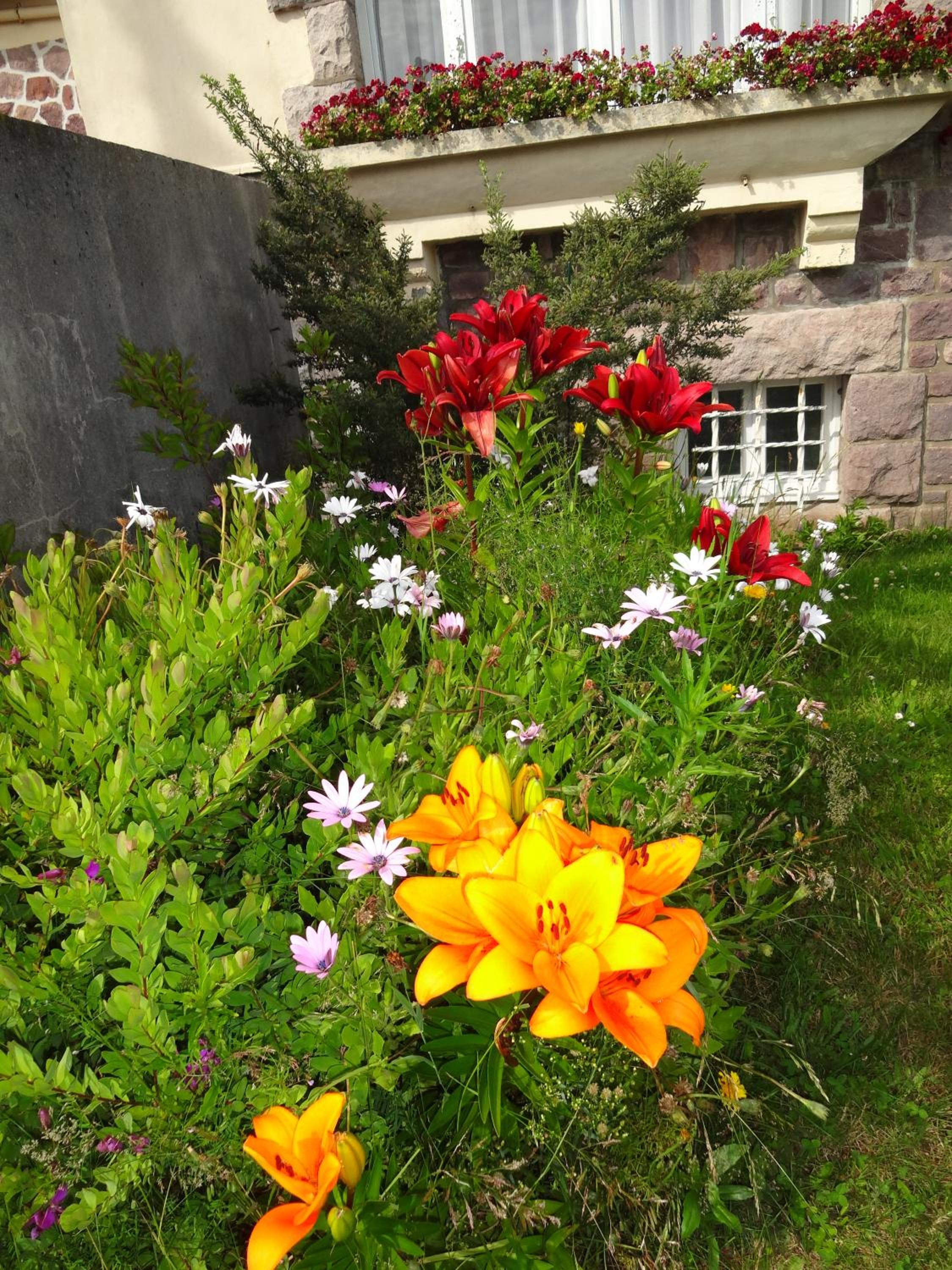 Photo 33