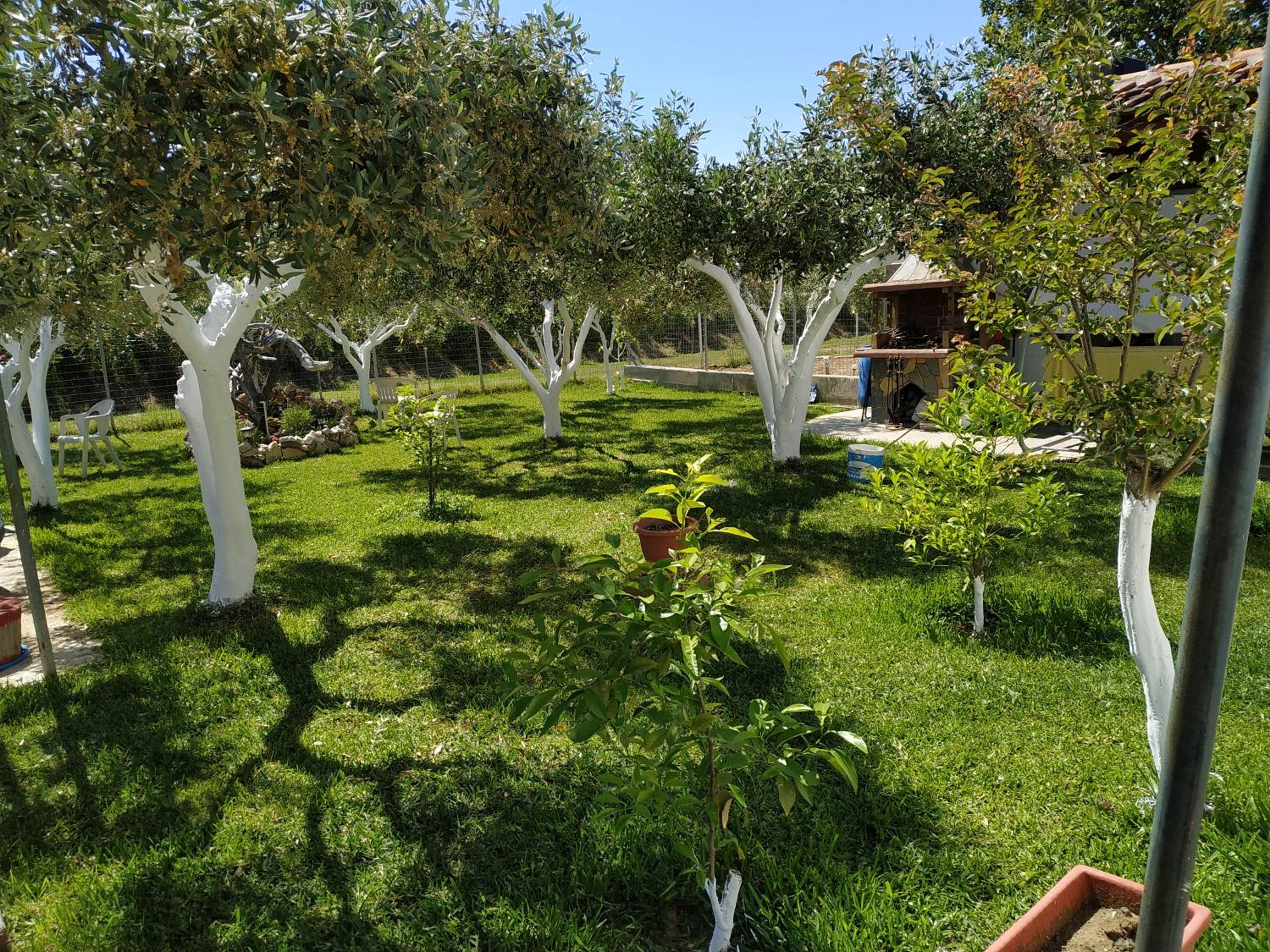 Amarantos beautiful Garden House view 5
