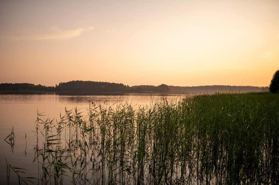 Niezwykła Cisza Glamping & Sauna view 3