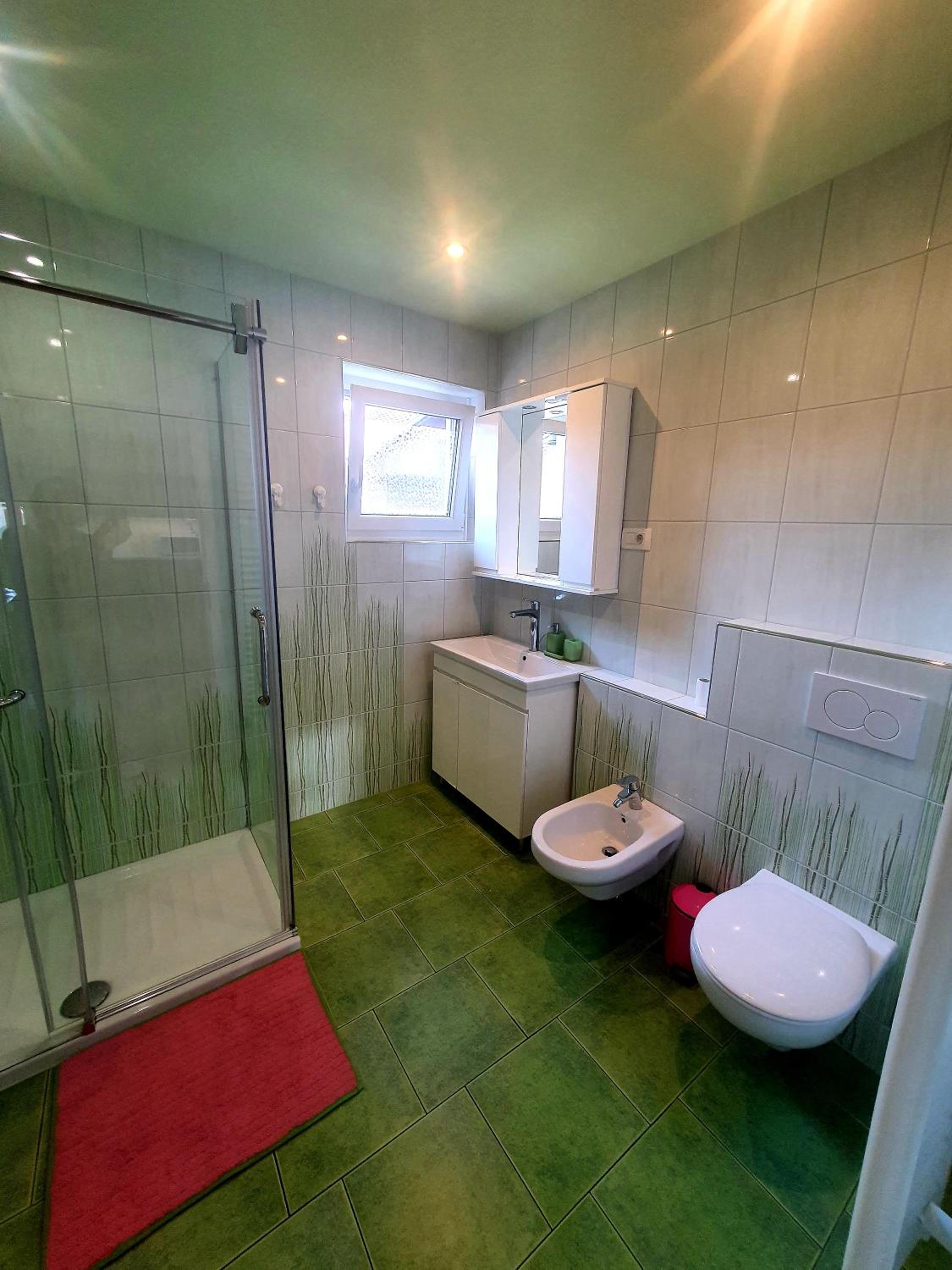 Apartma DAVID view 5