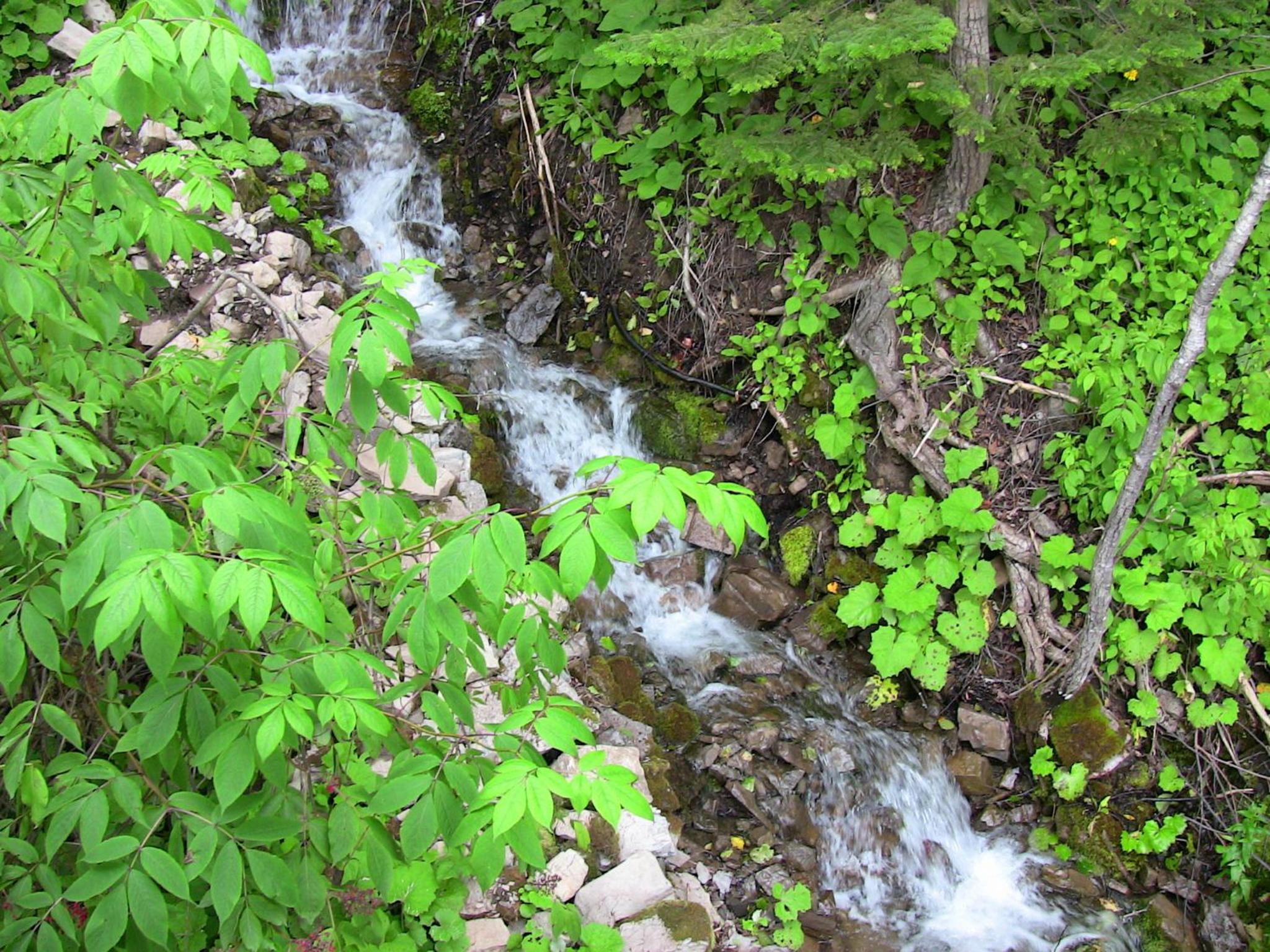 Photo 14