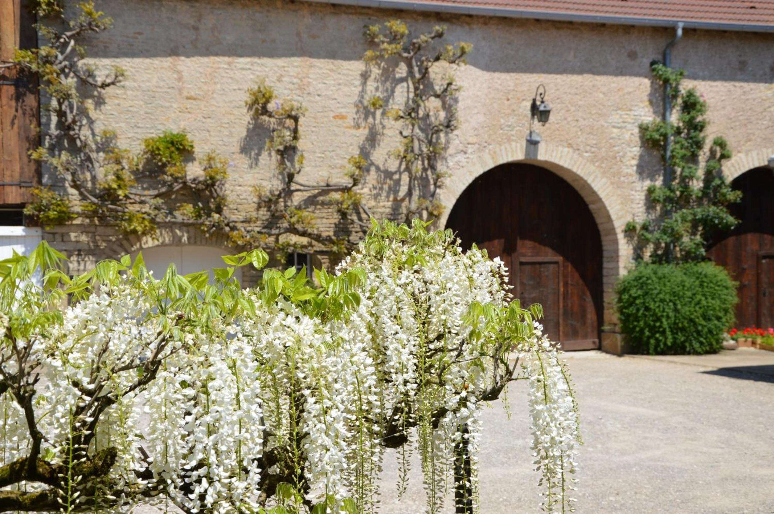 The Wisteria Farm view 3