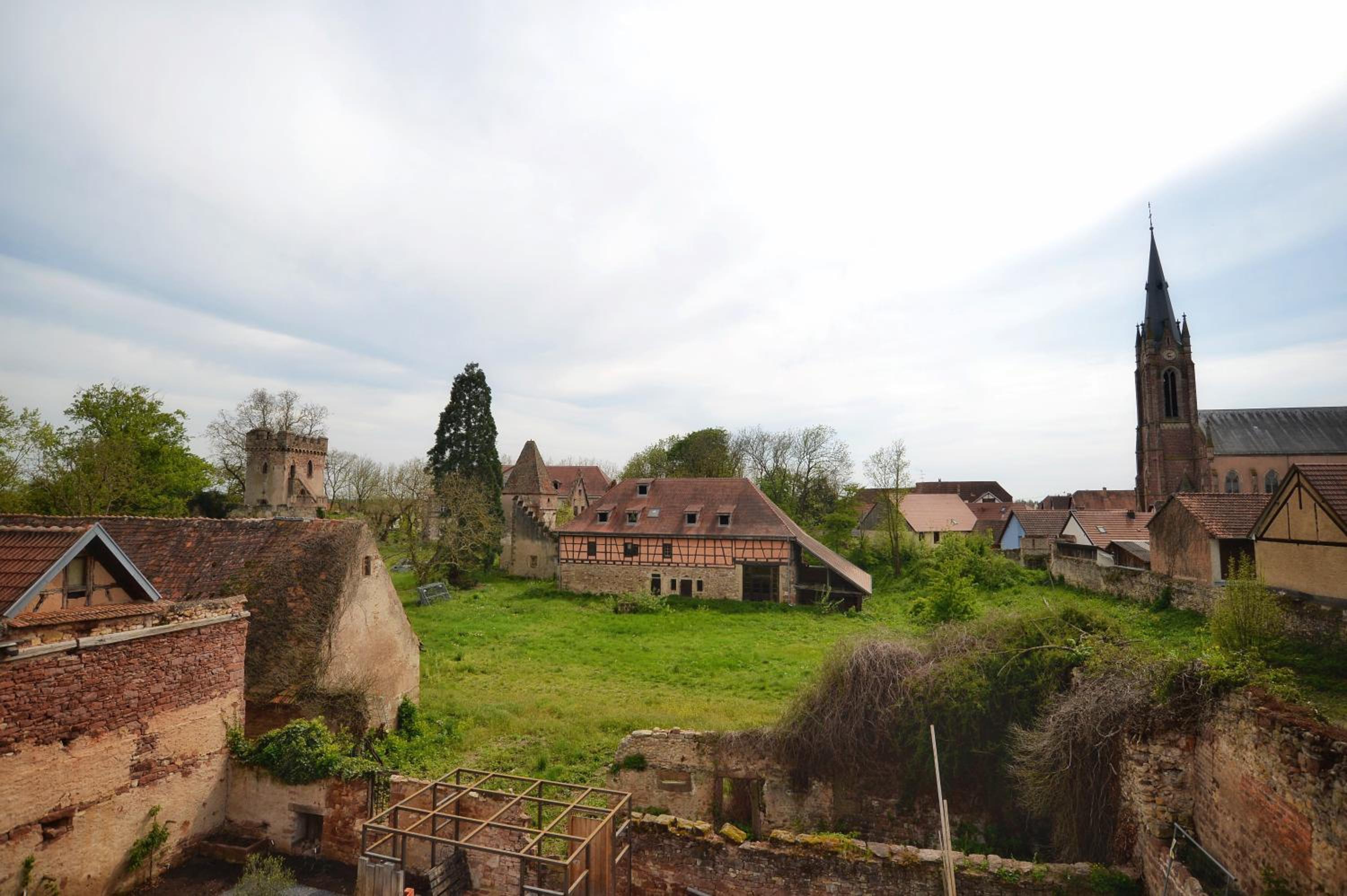 Photo 42
