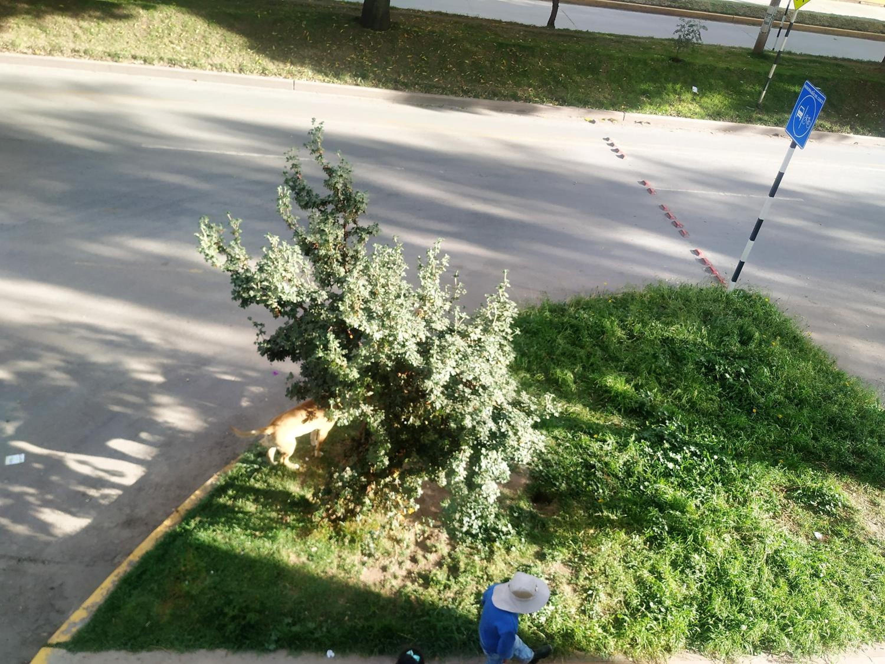 Photo 52
