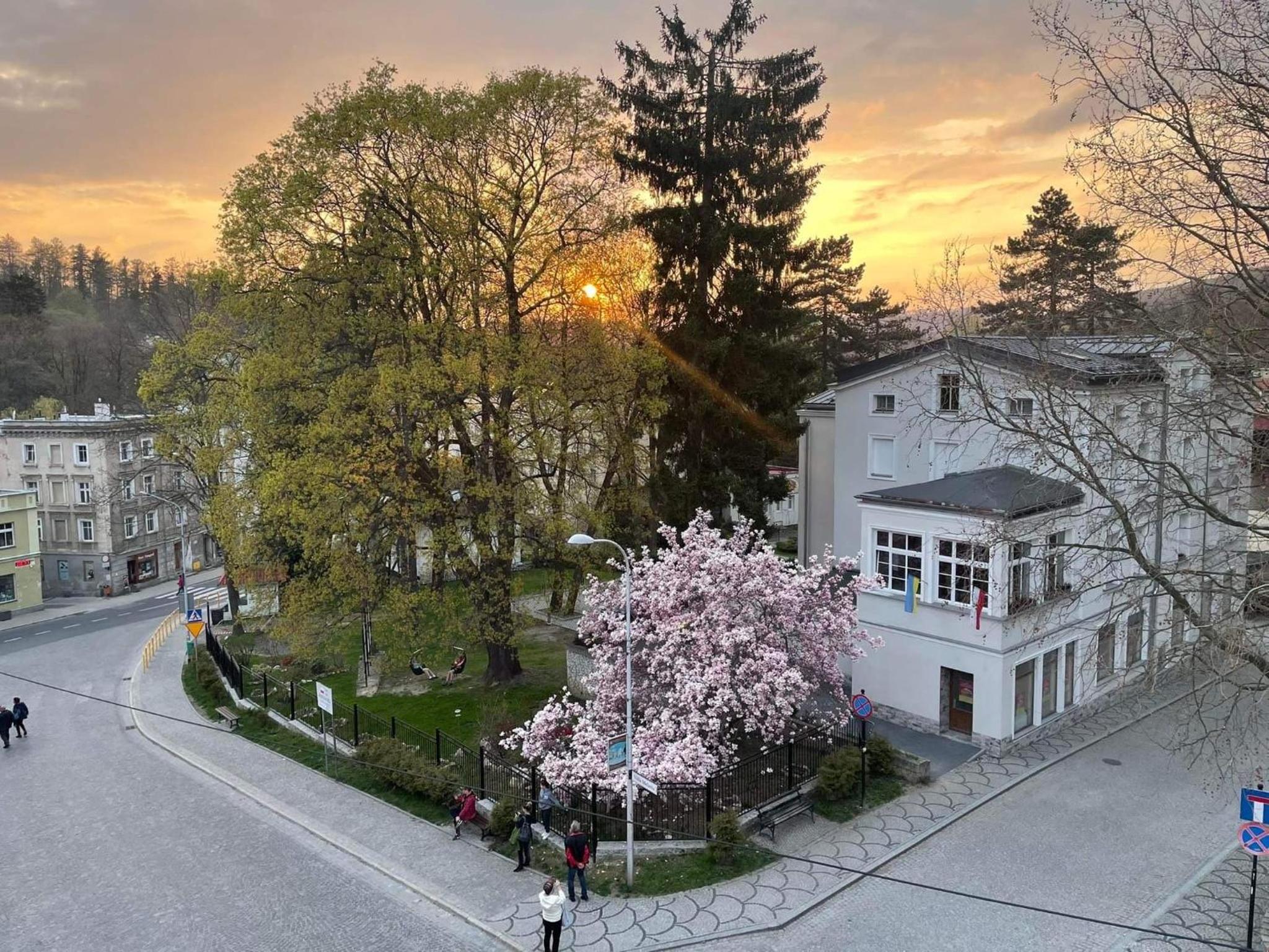 CIENISTA 7 APARTMENTS view 3
